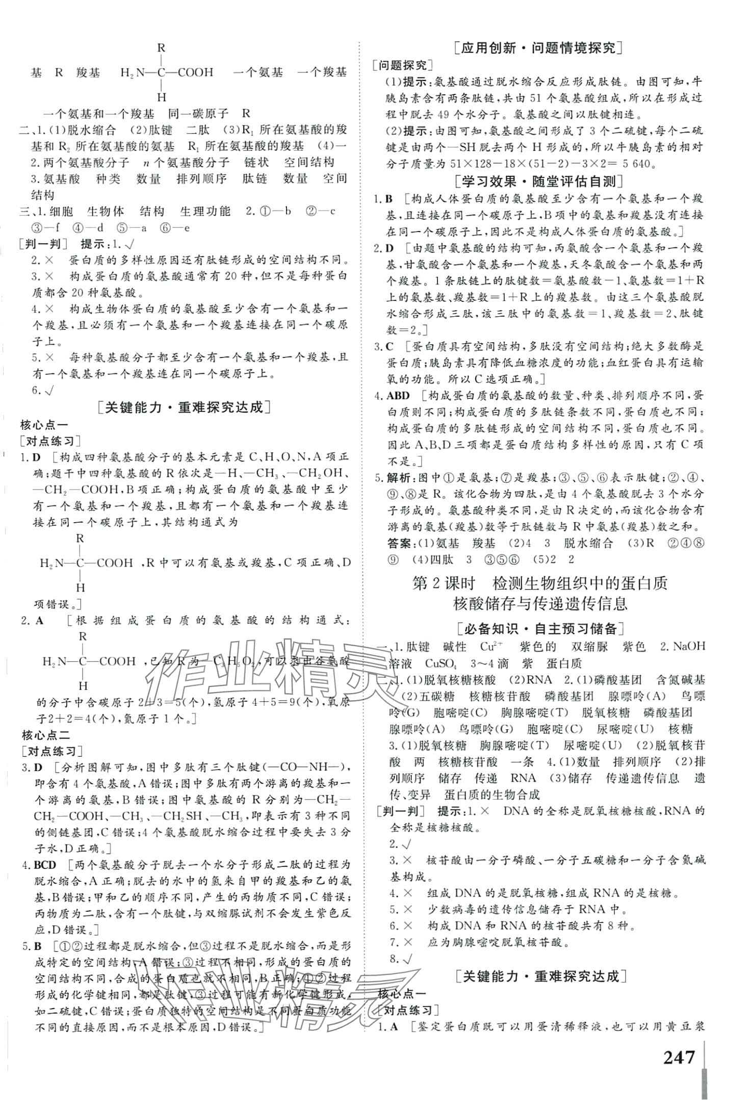 2024年非常學案高中生物必修1蘇教版 第5頁