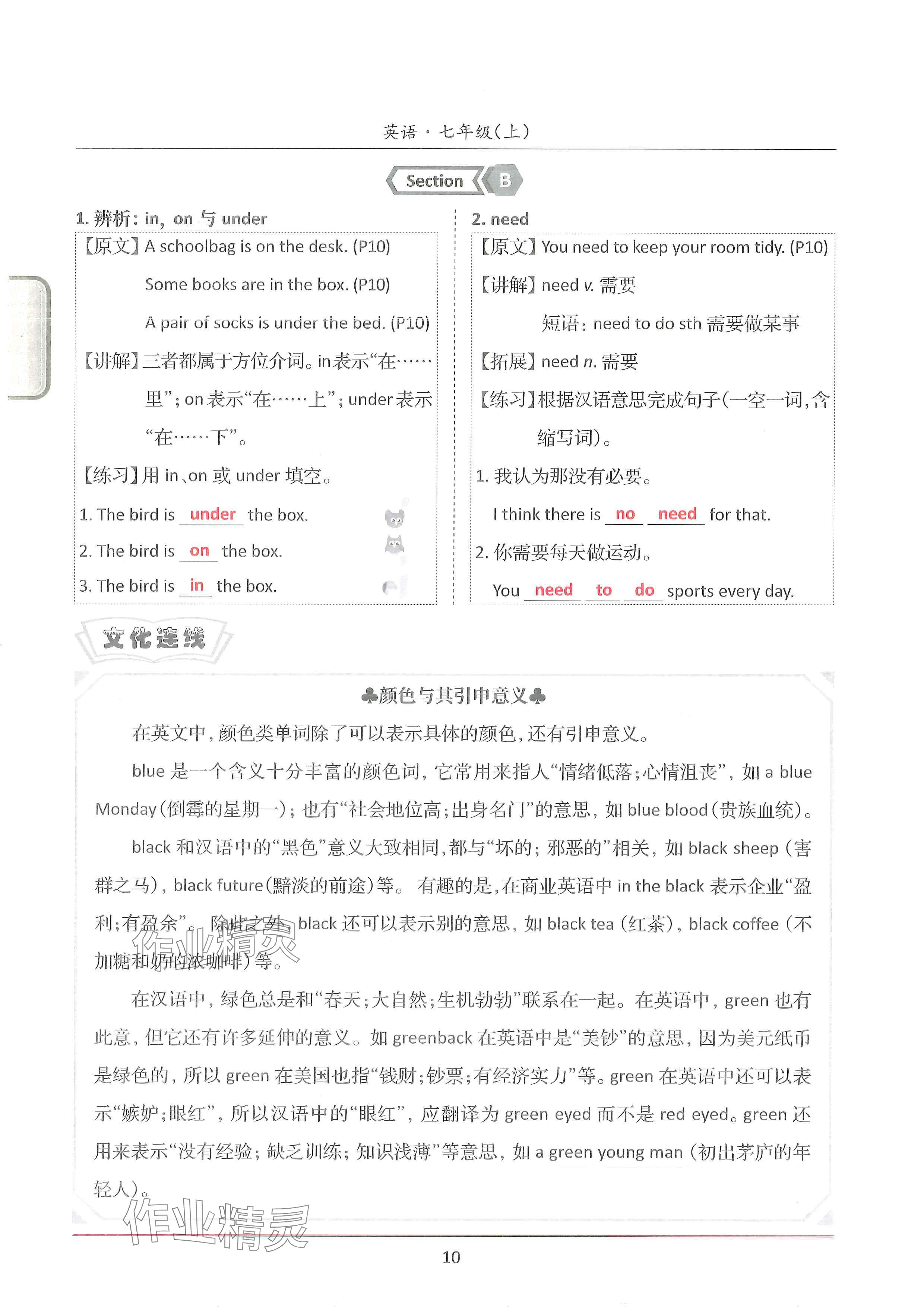2024年新视界单元复习七年级英语上册人教版&nbsp;参考答案第10页