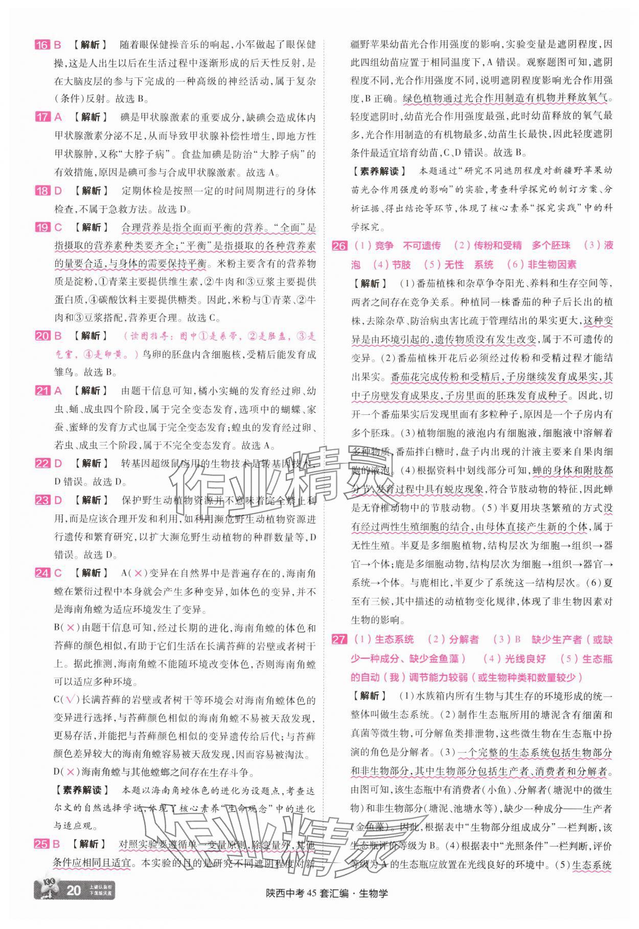 2025年金考卷45套匯編生物中考人教版陜西專版 參考答案第20頁