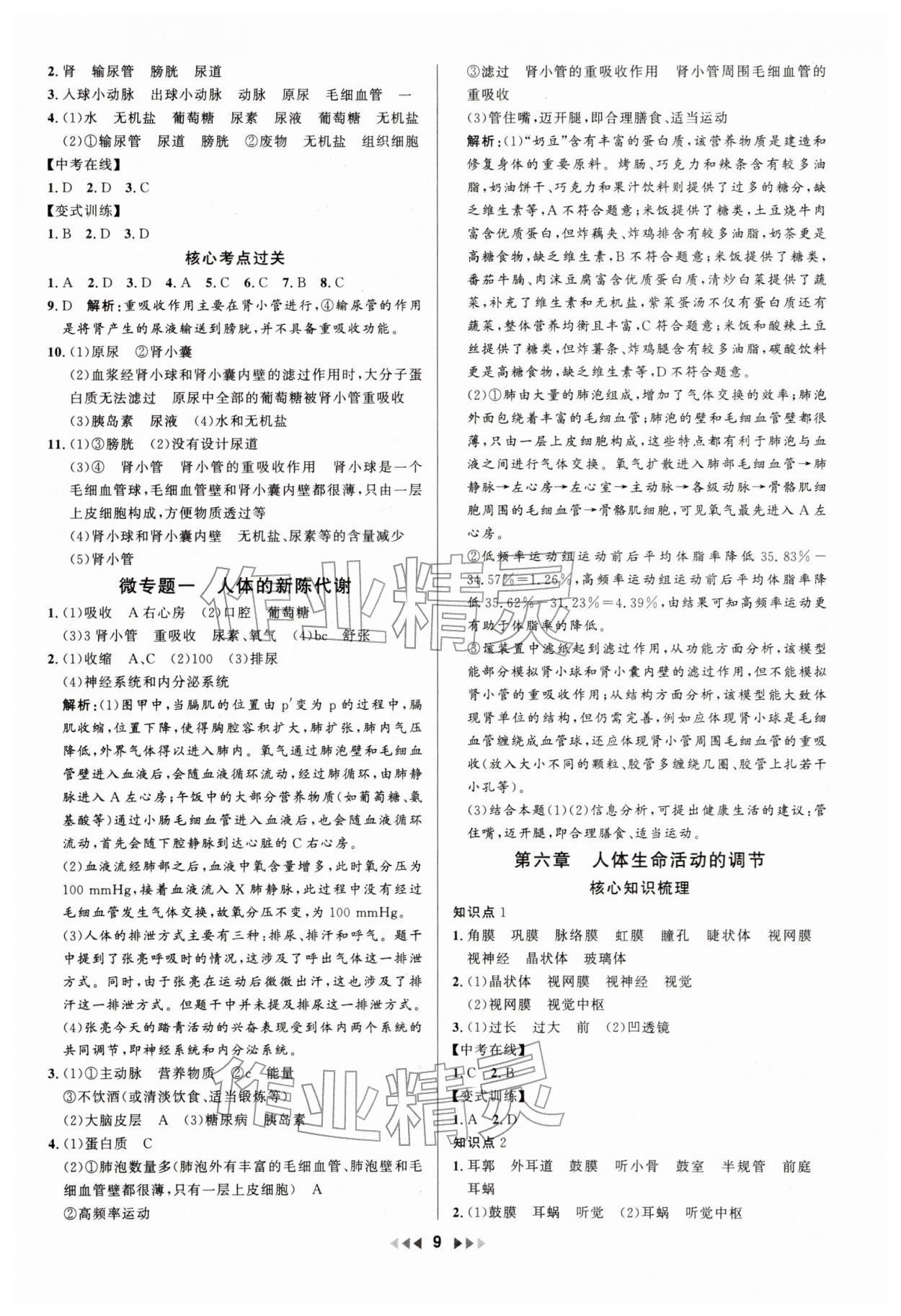 2025年金钥匙赢战中考生物广东专版 参考答案第9页