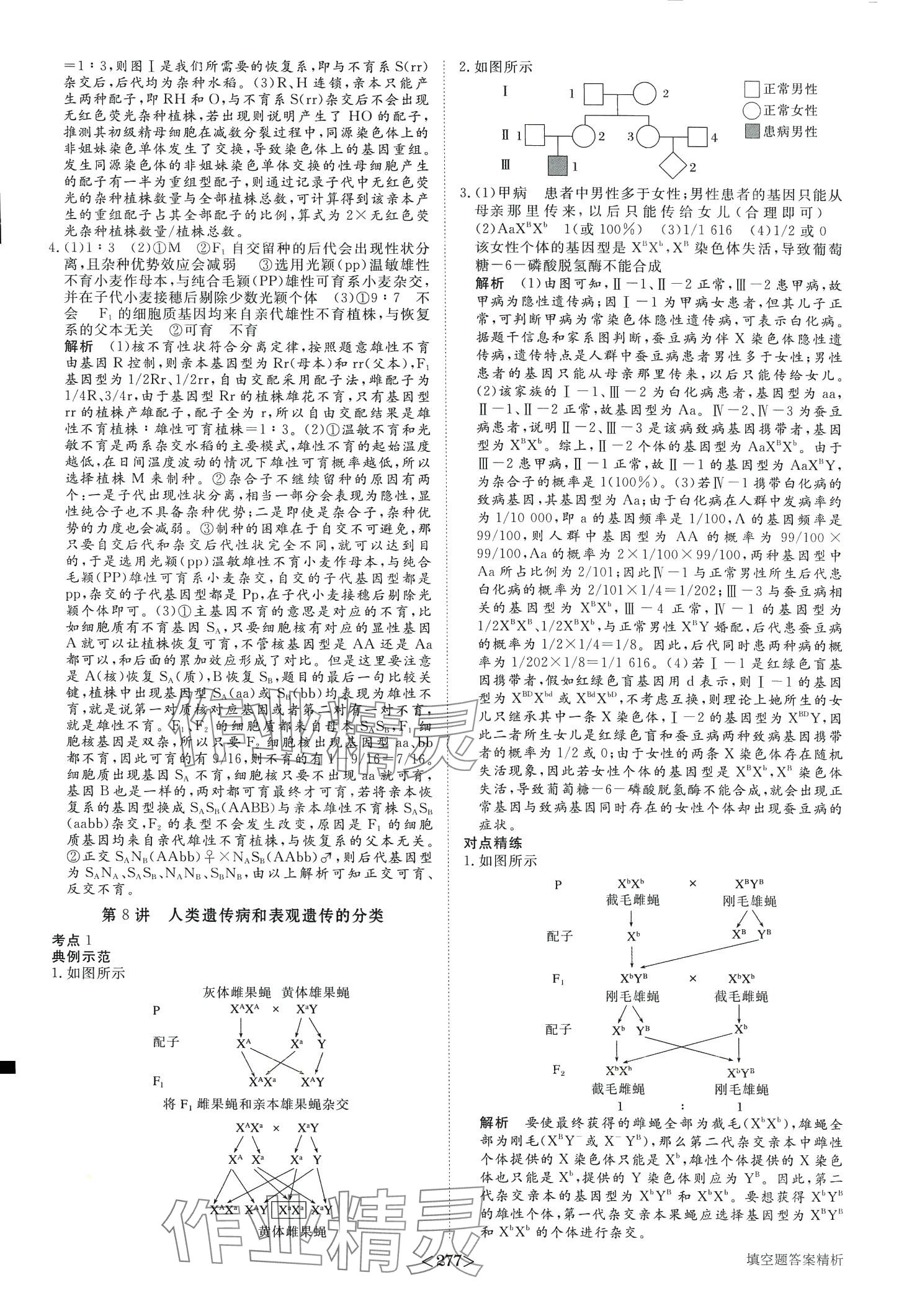 2024年步步高考前三個月二輪高中生物 第14頁