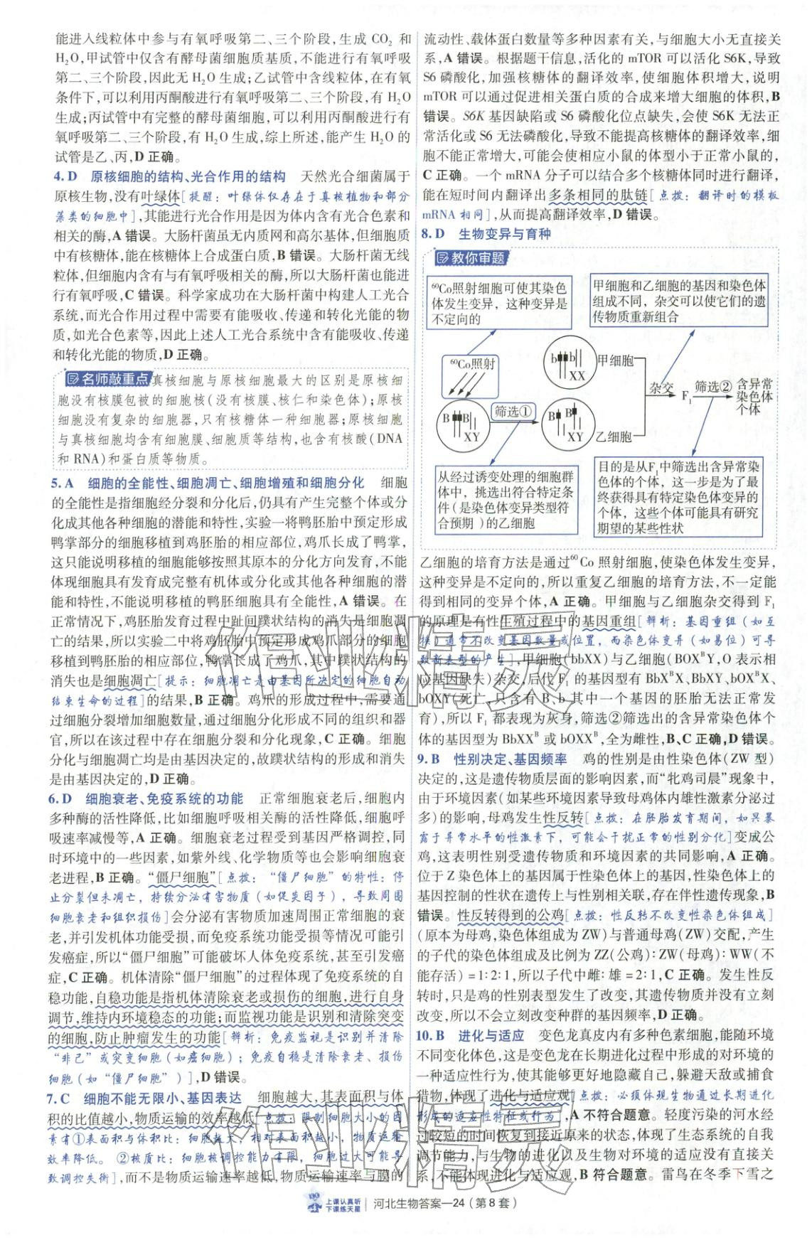 2026年金考卷优秀模拟试卷汇编45套高中生物河北专版 第24页