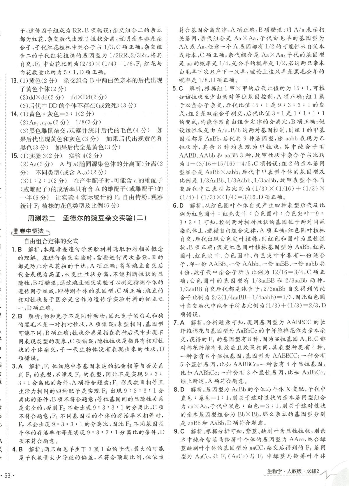 2025年卷霸高中同步測試卷高中生物必修2人教版 第2頁