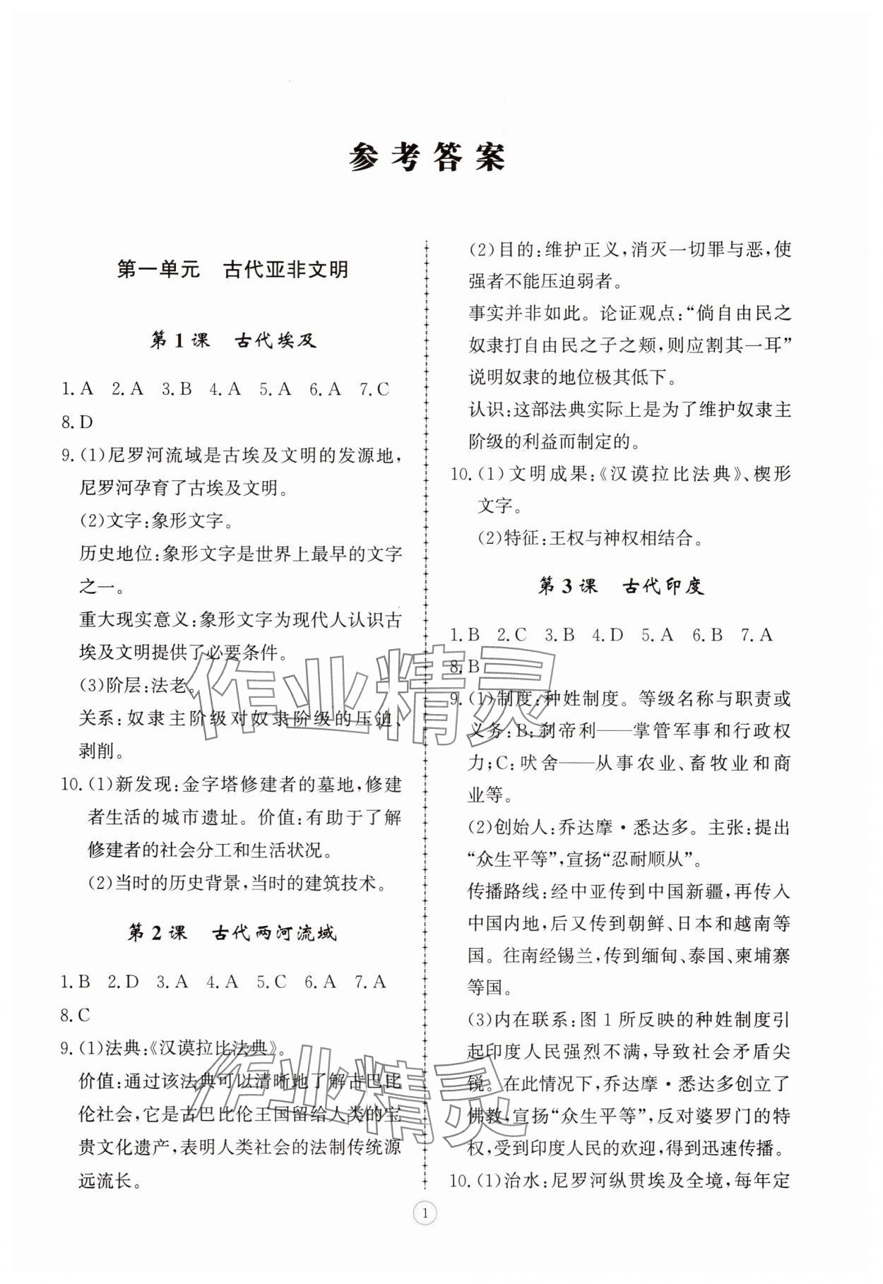 2025年同步练习册智慧拓展九年级历史上册人教版菏泽专版 第1页