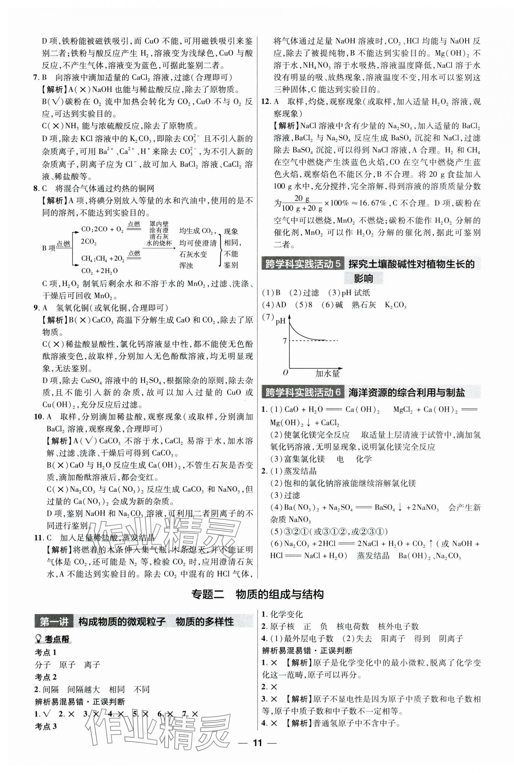 2025年江西中考幫化學(xué) 第11頁(yè)