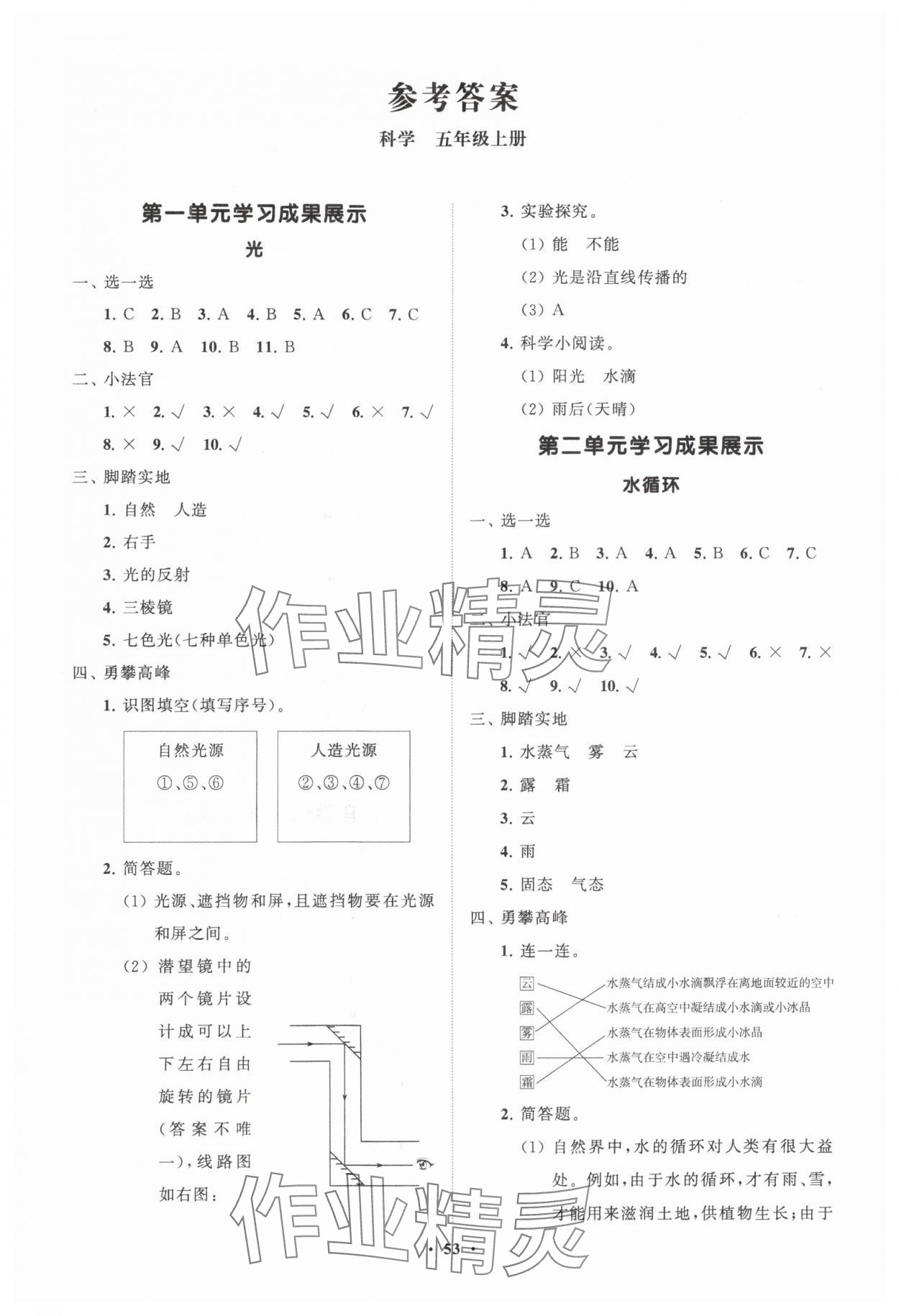 2024年同步練習(xí)冊分層指導(dǎo)五年級科學(xué)上冊青島版 第1頁