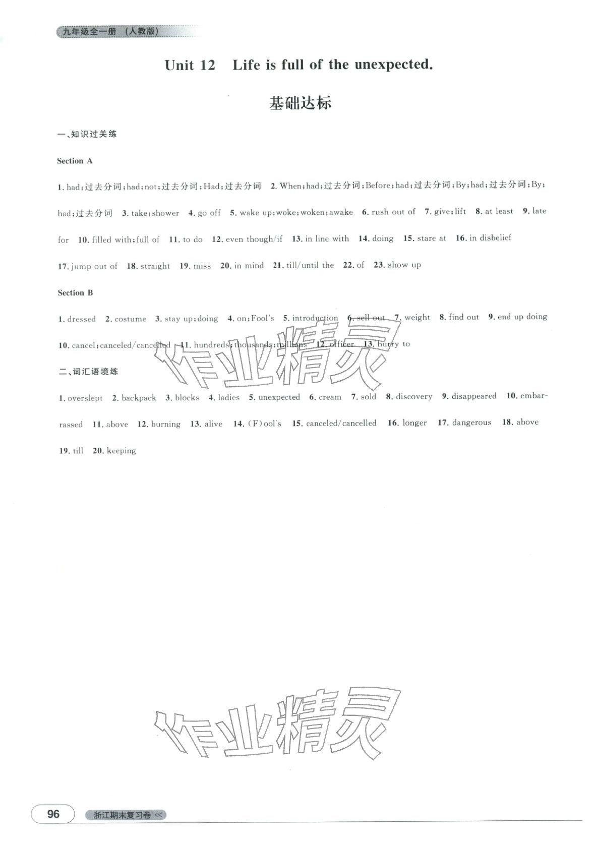 2025年领智优选浙江期末复习卷九年级英语全一册人教版 第8页