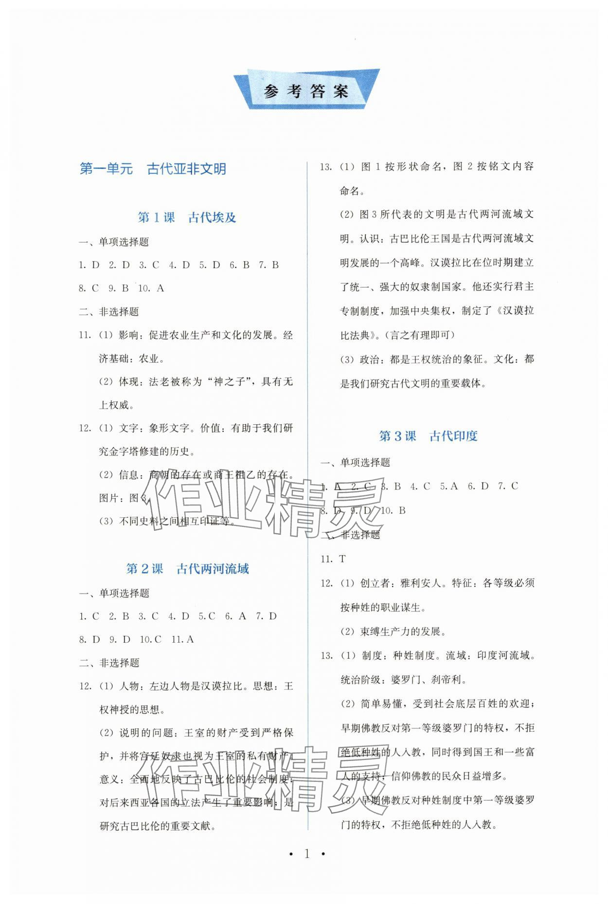 2025年人教金学典同步解析与测评九年级历史上册人教版 第1页