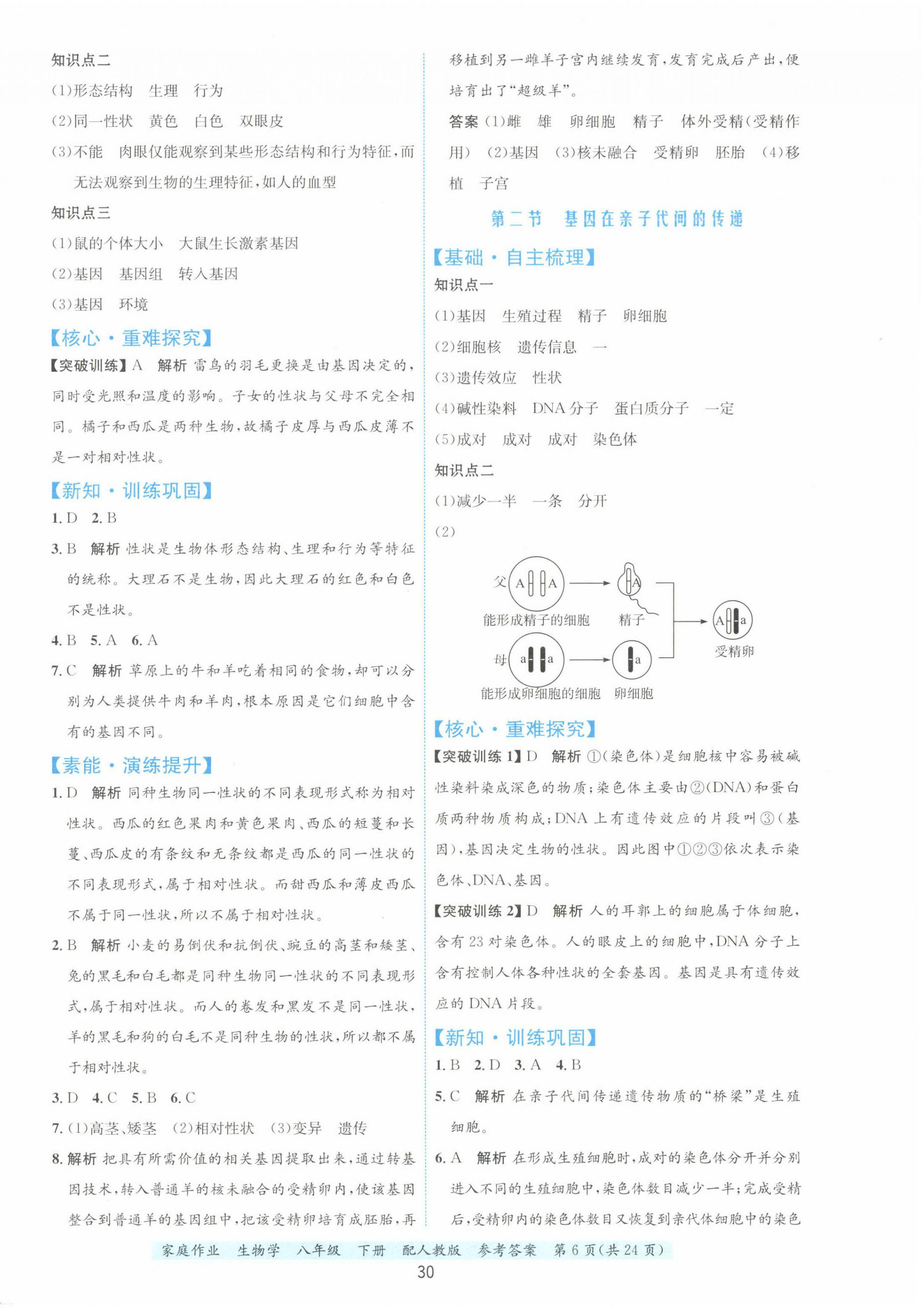 2025年家庭作業(yè)八年級生物下冊人教版 第6頁