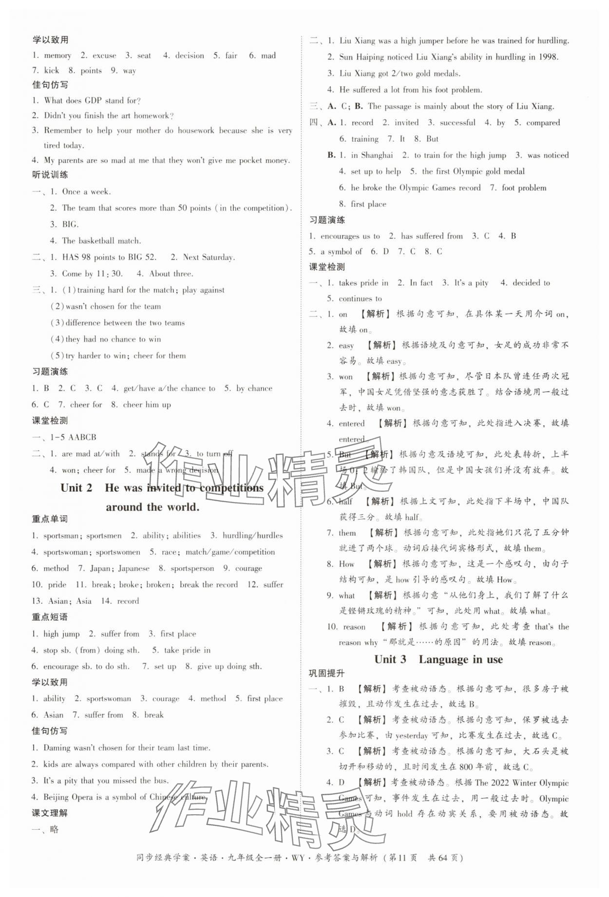 2023年同步經典學案九年級英語全一冊外研版 第11頁