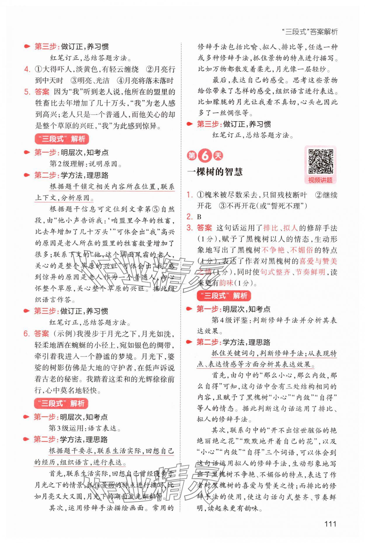 2025年一本5升6語文人教版暑假閱讀福建專版&nbsp;第5頁