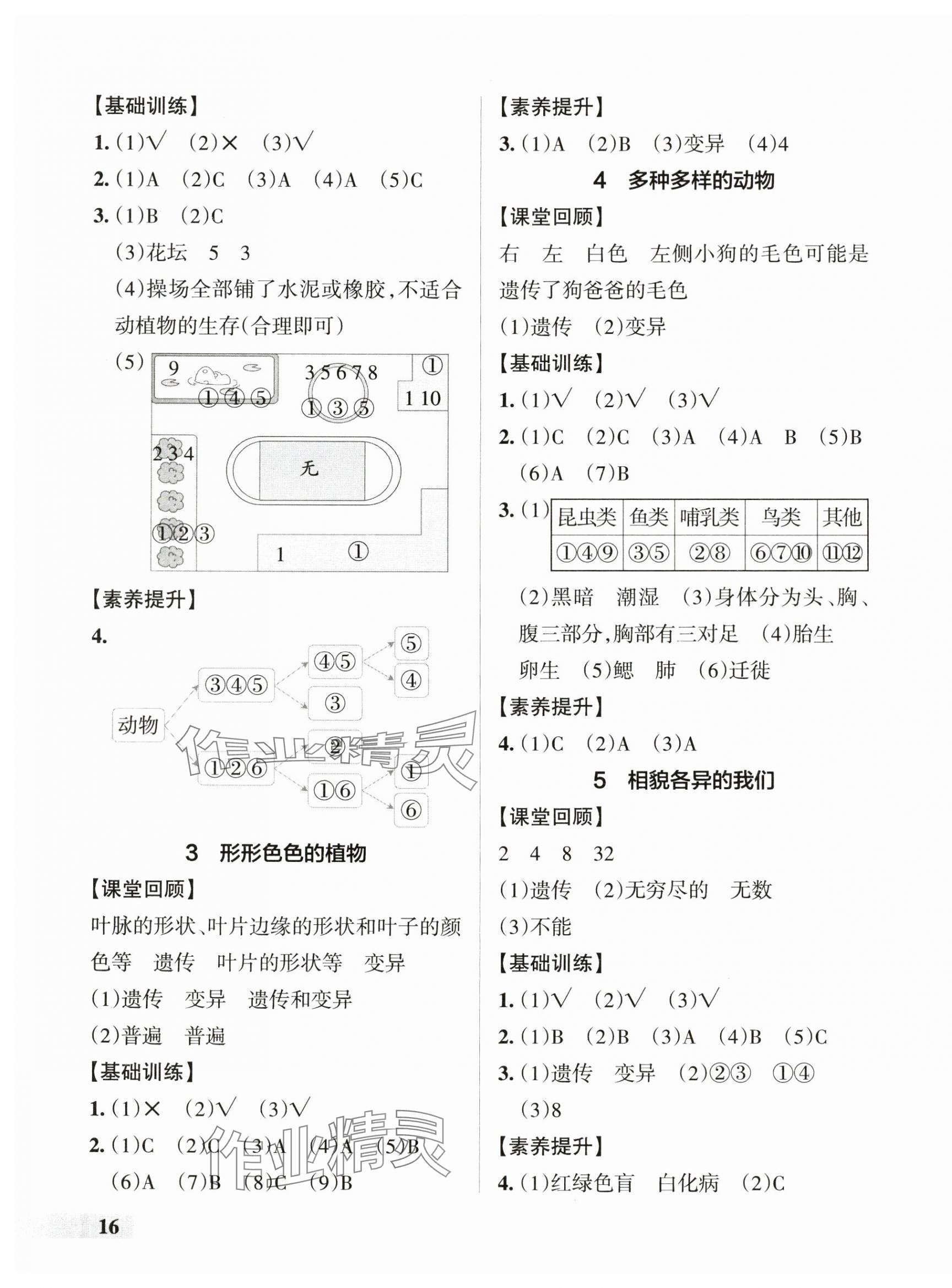 2025年小學(xué)學(xué)霸作業(yè)本六年級(jí)科學(xué)下冊(cè)教科版廣東專版 參考答案第3頁(yè)