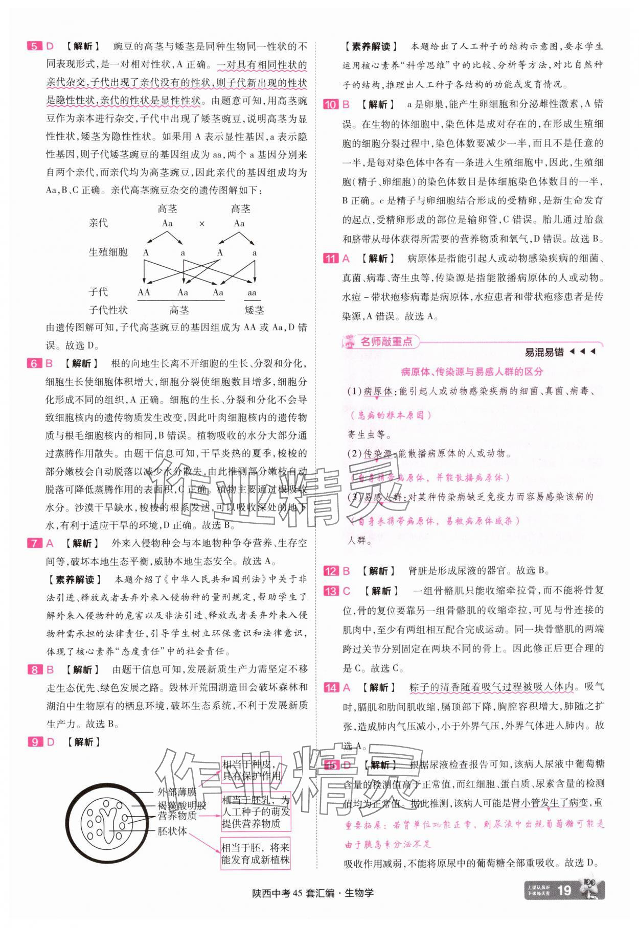 2025年金考卷45套匯編生物中考人教版陜西專版 參考答案第19頁