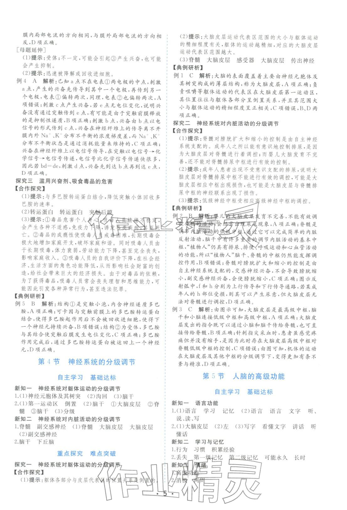 2025年金版学案高中同步辅导与检测高中生物选择性必修第一册人教版&nbsp;第5页