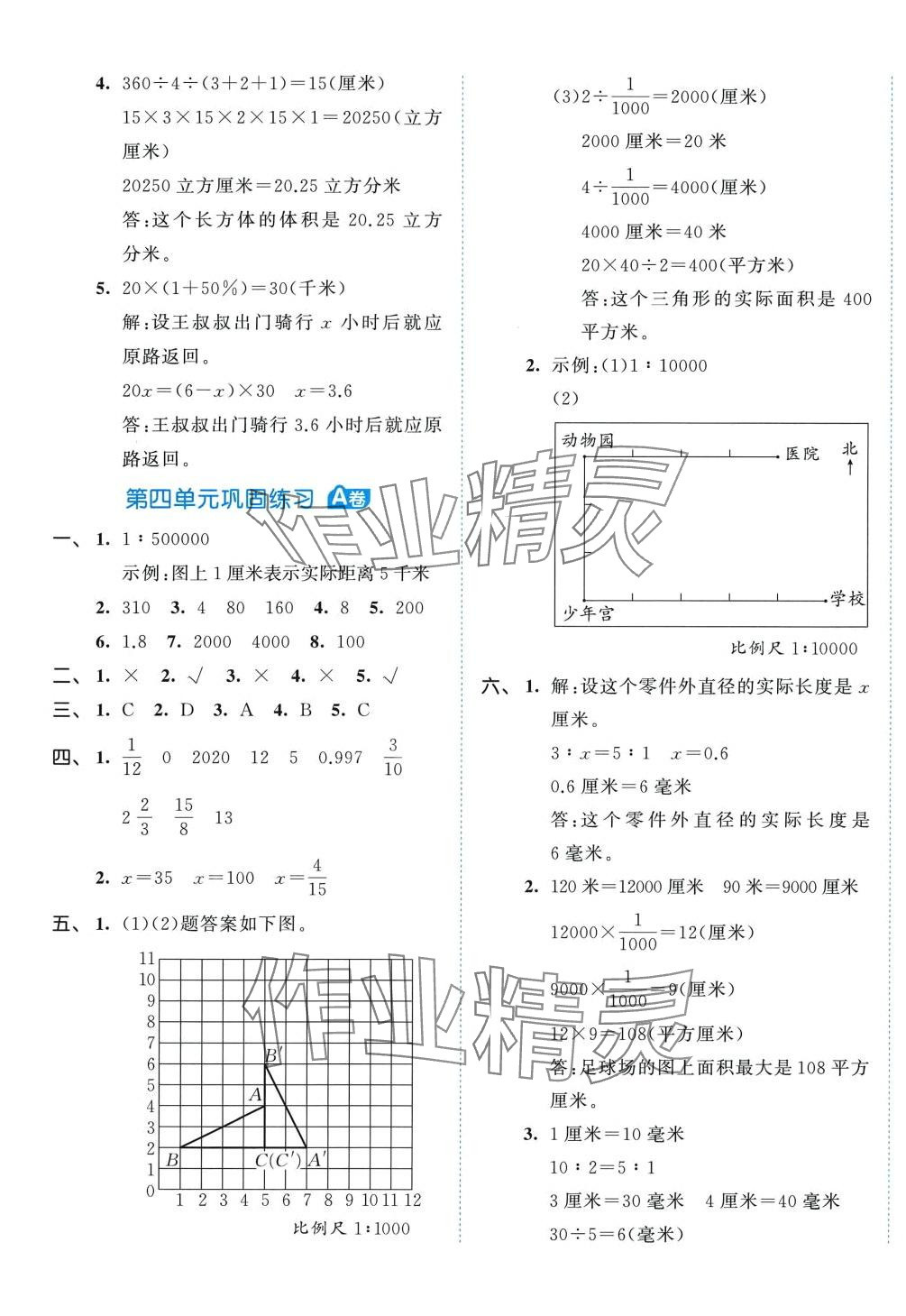 2024年53全優(yōu)卷六年級數(shù)學(xué)下冊青島版 第5頁