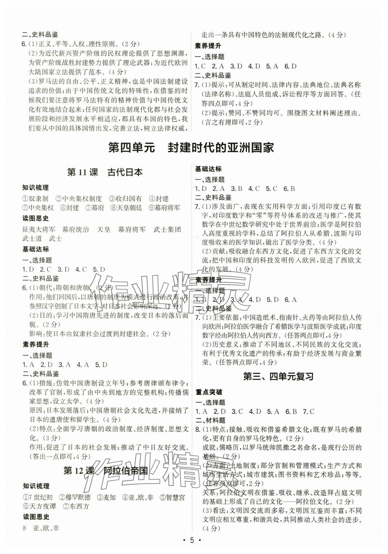 2025年考點專練九年級歷史全一冊人教版深圳專版 第5頁