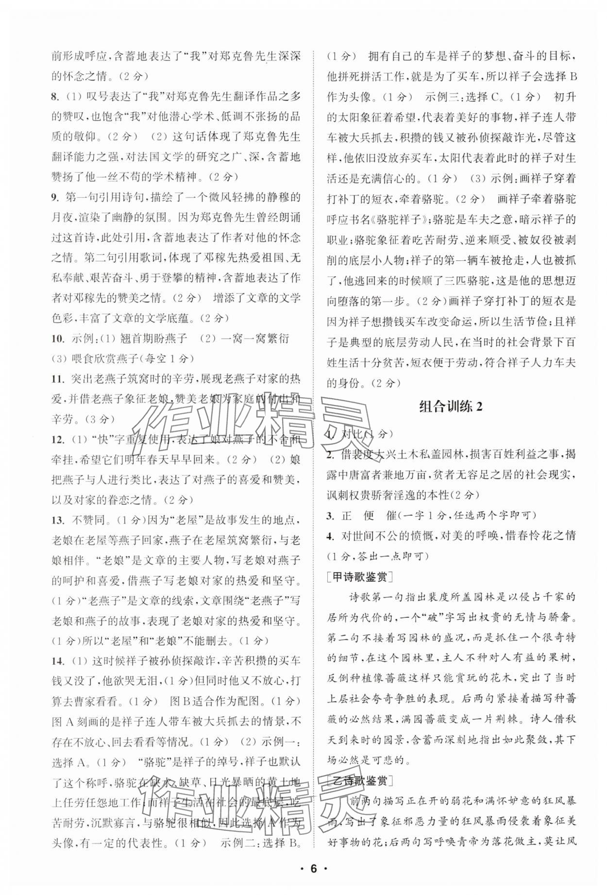 2025年通城學(xué)典組合訓(xùn)練七年級(jí)語(yǔ)文下冊(cè)江蘇專版 參考答案第6頁(yè)