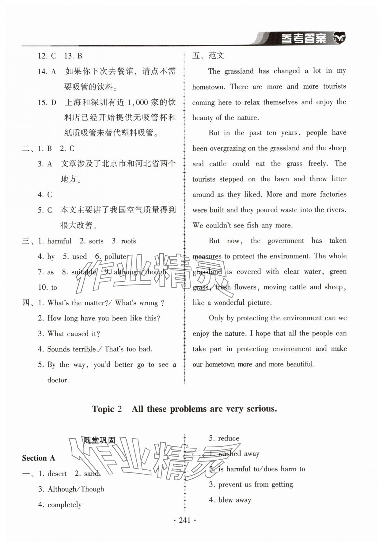 2025年仁爱英语同步练习册九年级全一册仁爱版湖北专版 第13页