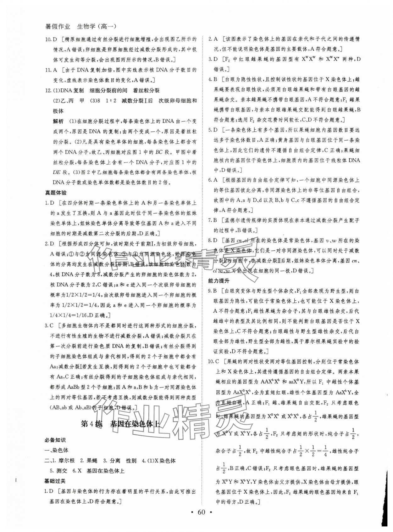 2024年暑假作业黑龙江教育出版社高一生物 第4页