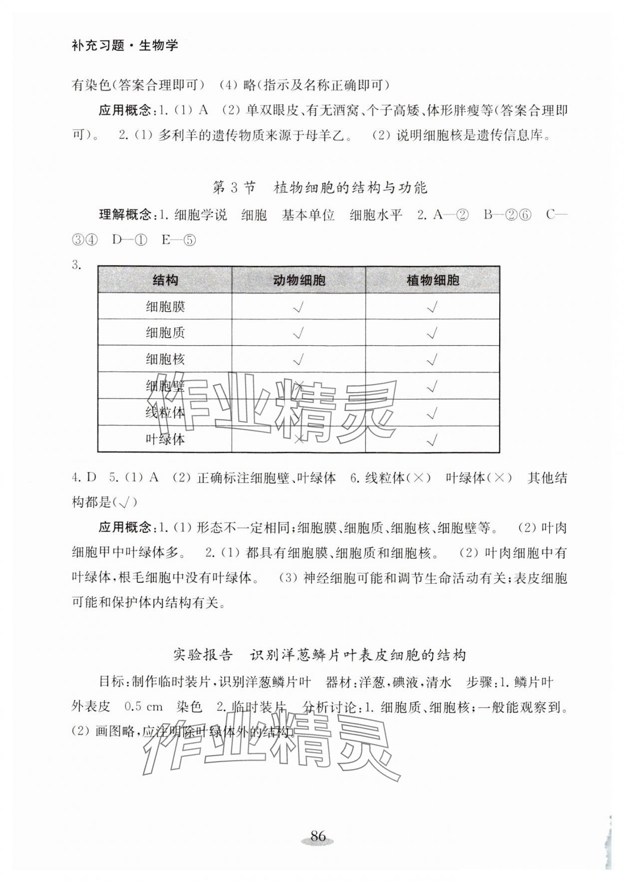 2024年補(bǔ)充習(xí)題江蘇七年級(jí)生物上冊(cè)蘇教版 第2頁