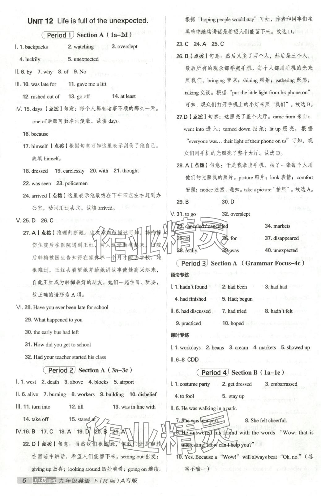 2025年点拨训练九年级英语下册人教版河北专版 第6页