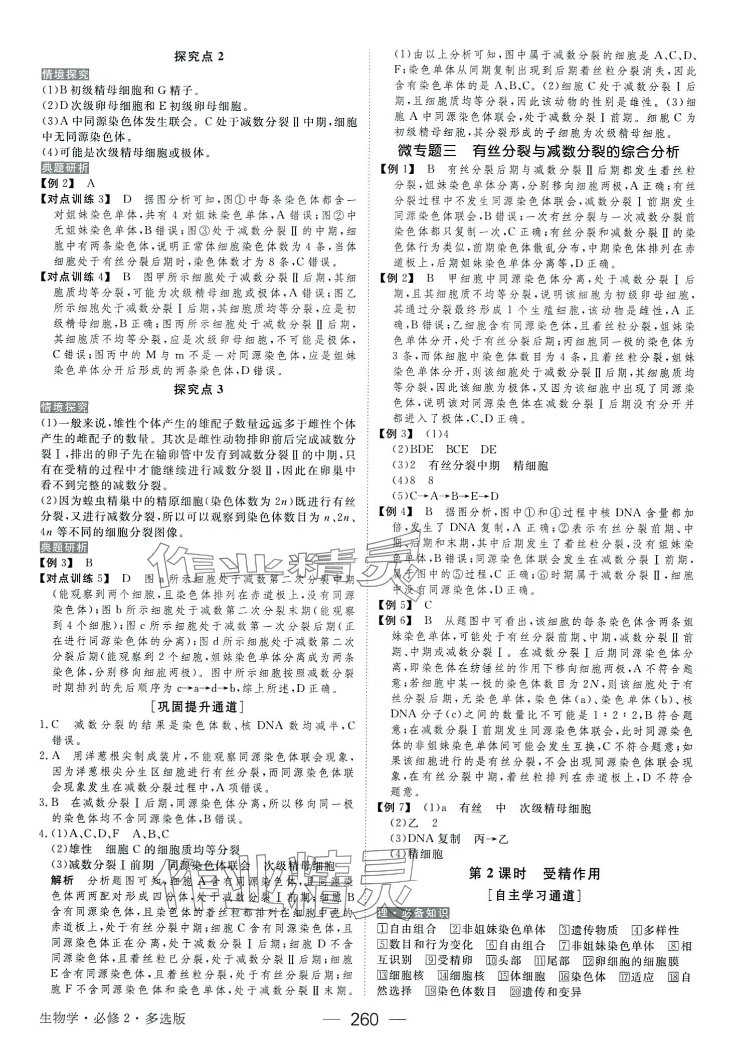 2024年綠色通道高中生物必修2人教版 第8頁