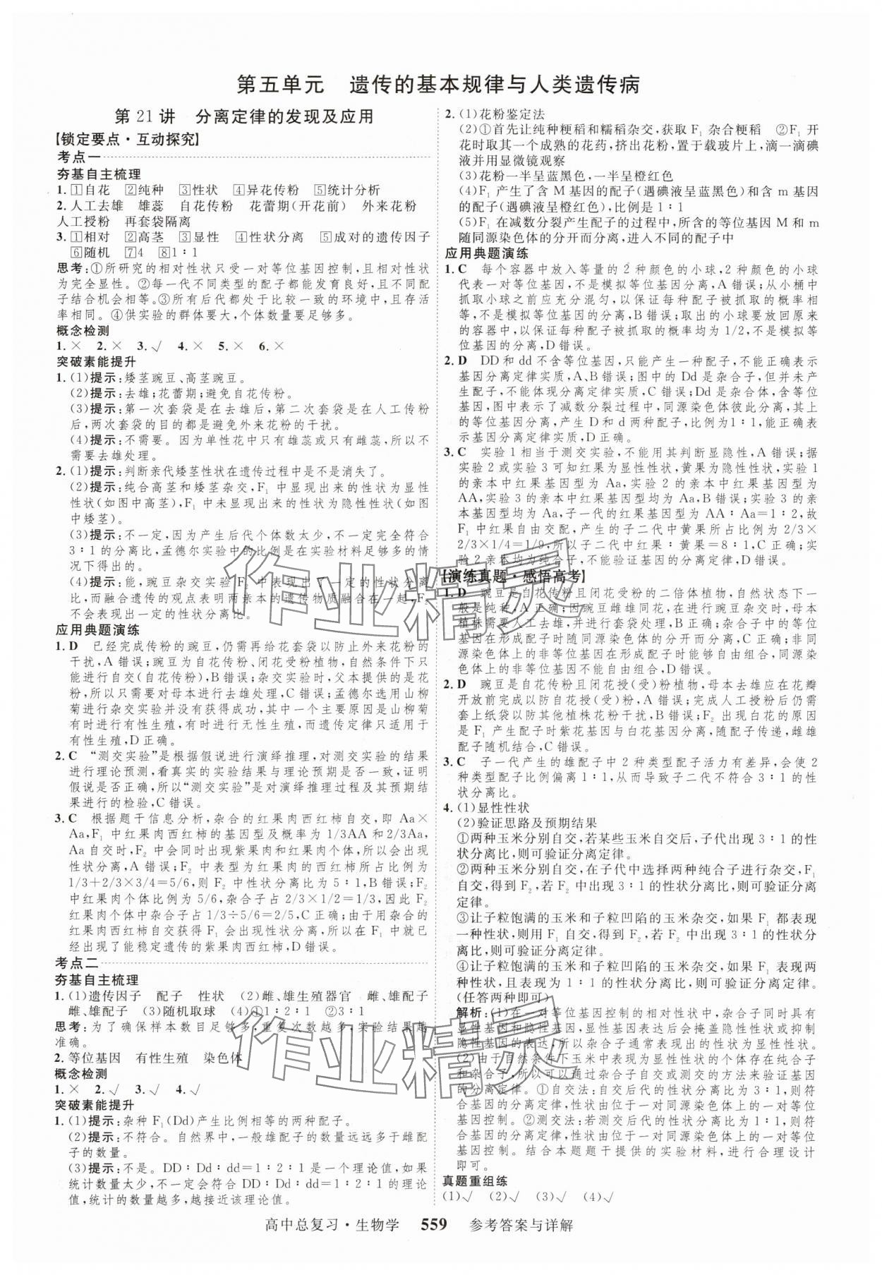 2024年三维设计生物 参考答案第23页