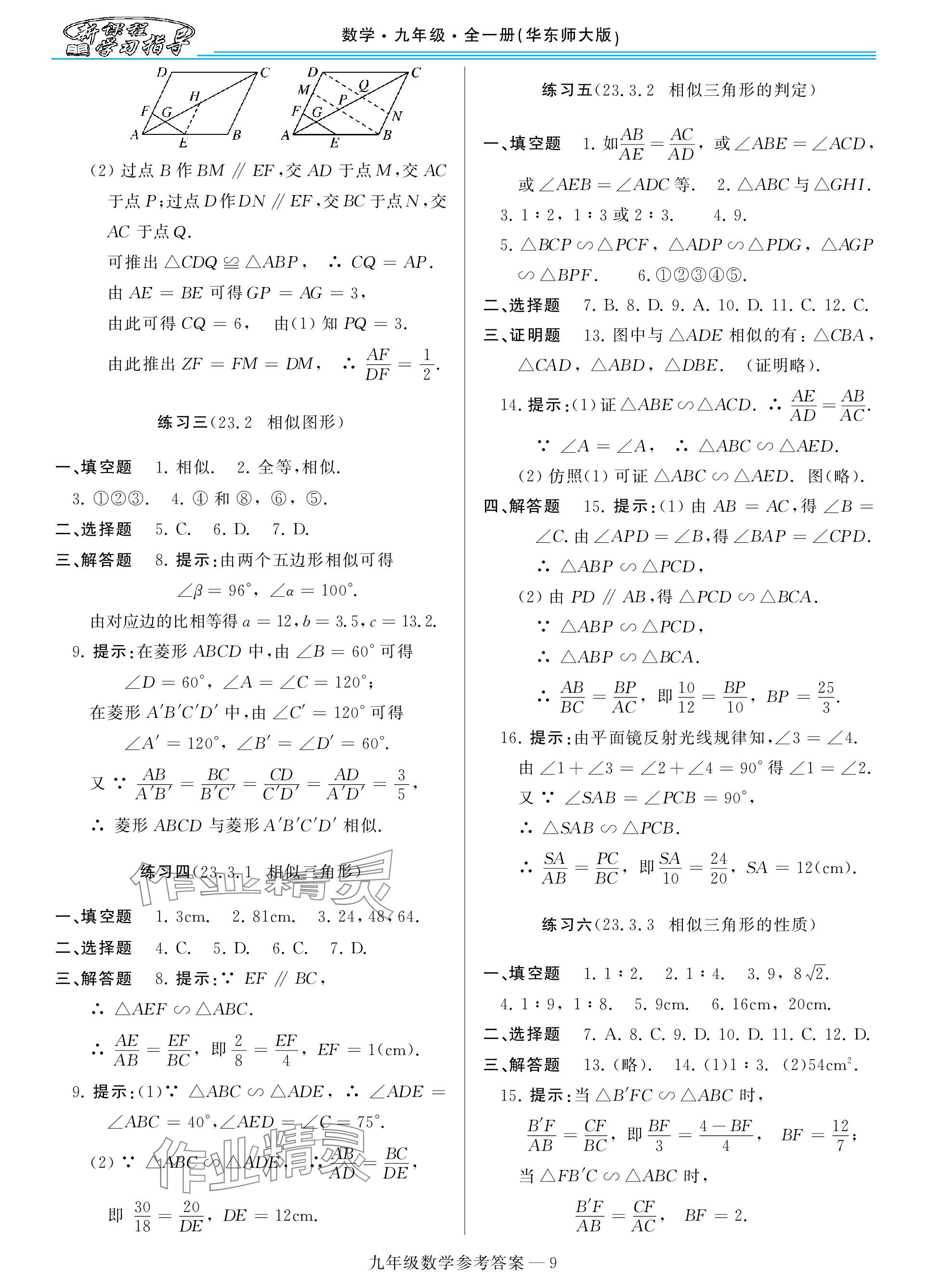 2023年新课程学习指导九年级数学全一册华师大版 参考答案第9页