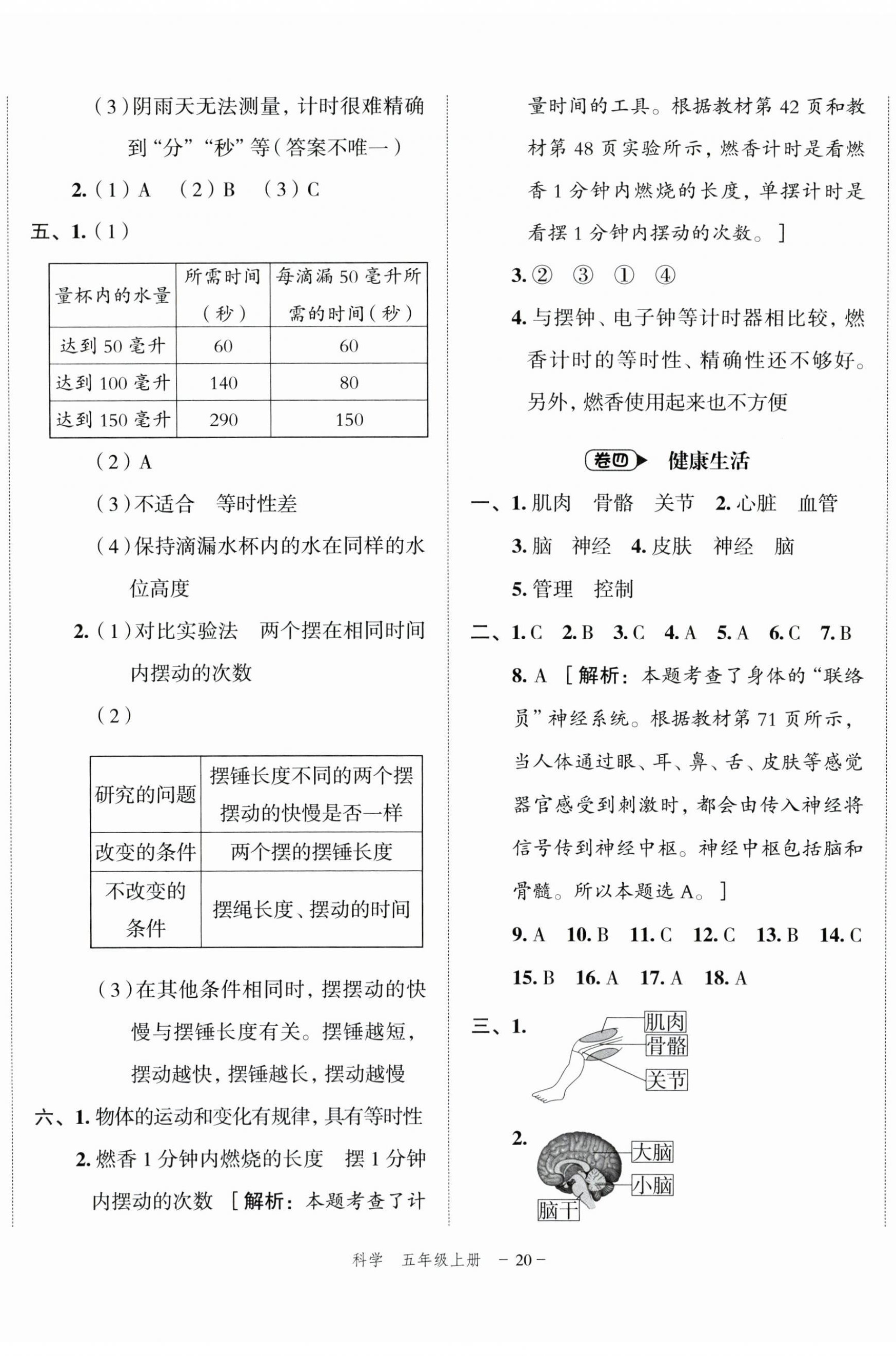 2023年名師面對面期末大通關(guān)五年級科學(xué)上冊教科版 第5頁