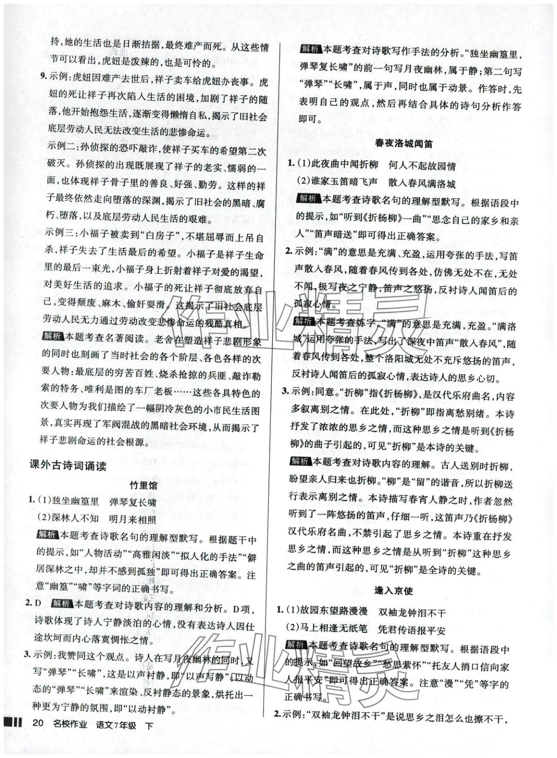 2025年名校作業(yè)語文下冊人教版 參考答案第20頁