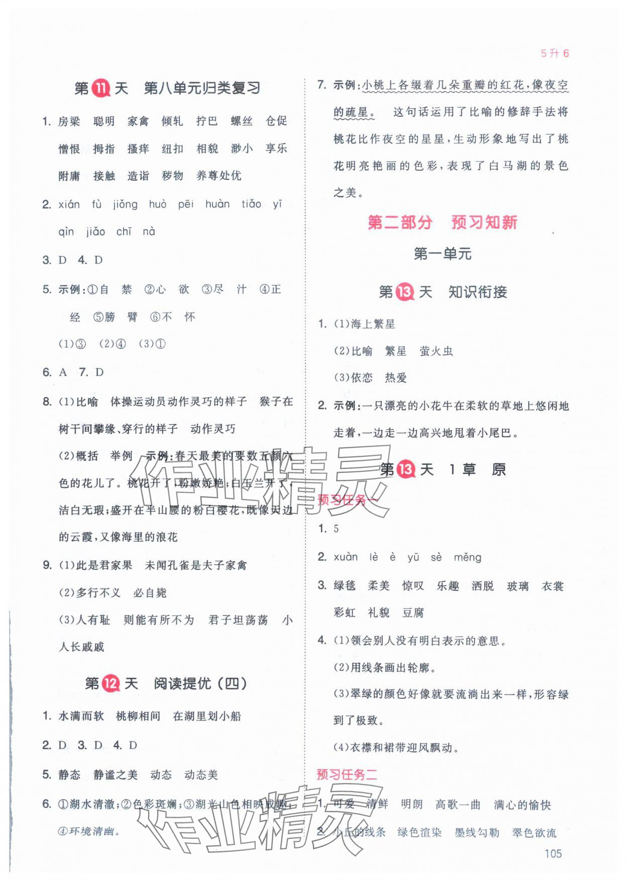 2024年一本暑假銜接五年級語文 參考答案第4頁