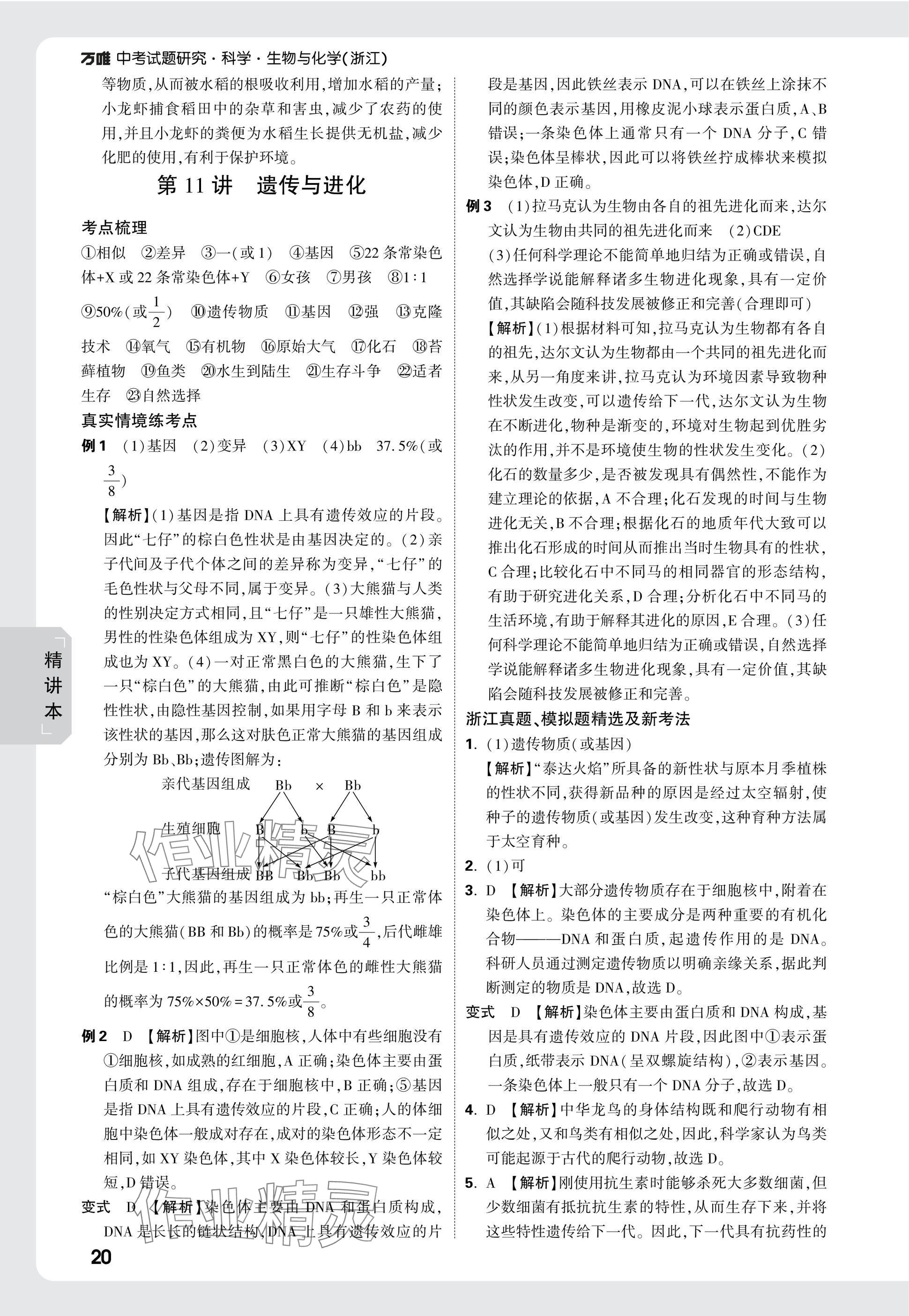 2025年萬唯中考試題研究科學(xué)（生物與化學(xué)）浙江專版 參考答案第20頁