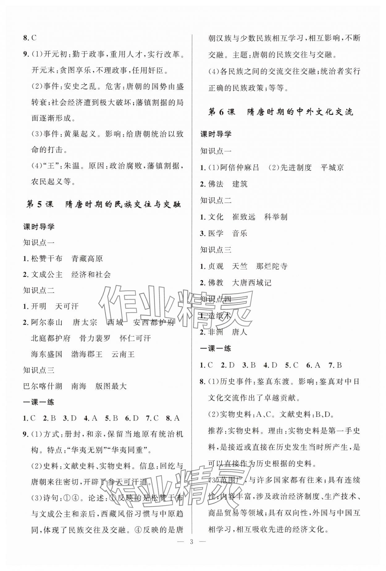 2025年顶尖课课练七年级历史下册人教版贵州专版 第3页