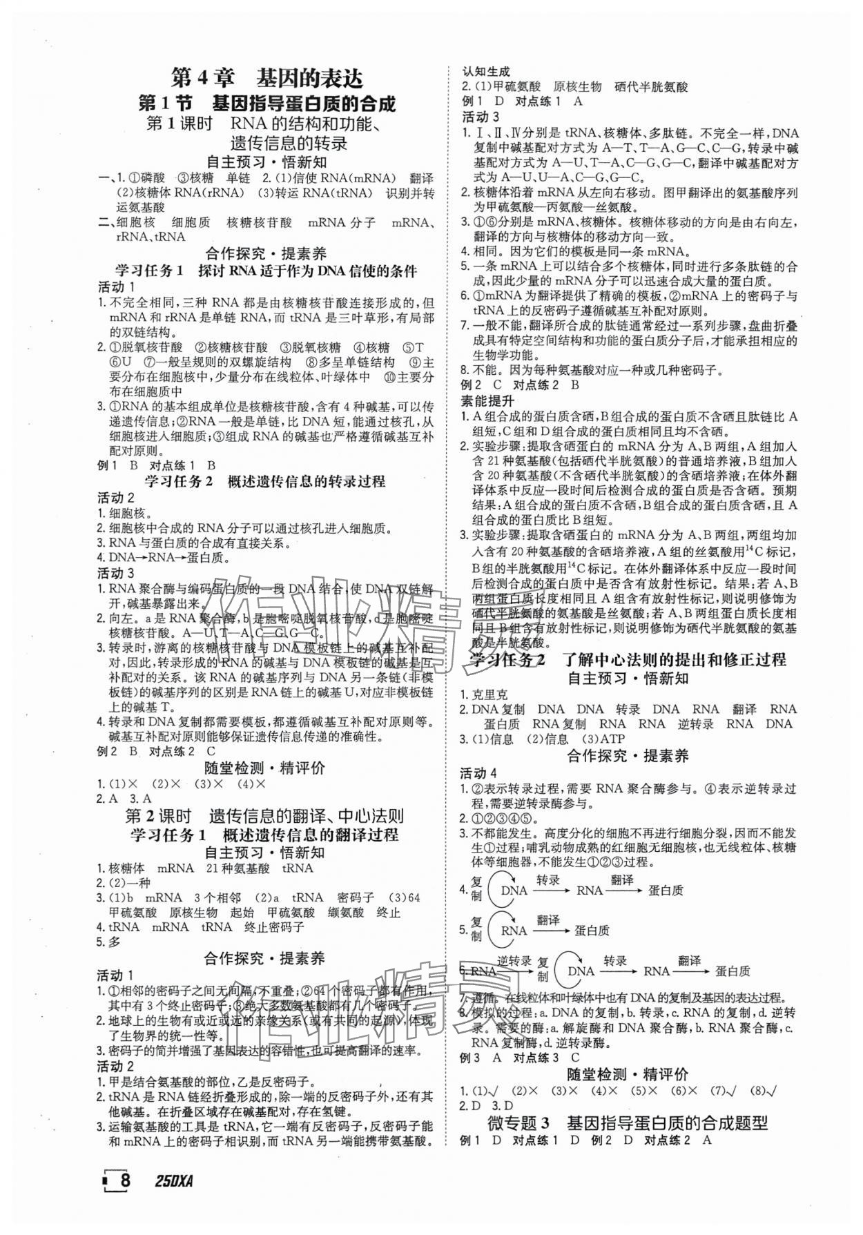 2025年金太陽導(dǎo)學(xué)案高中生物必修2人教版 參考答案第8頁
