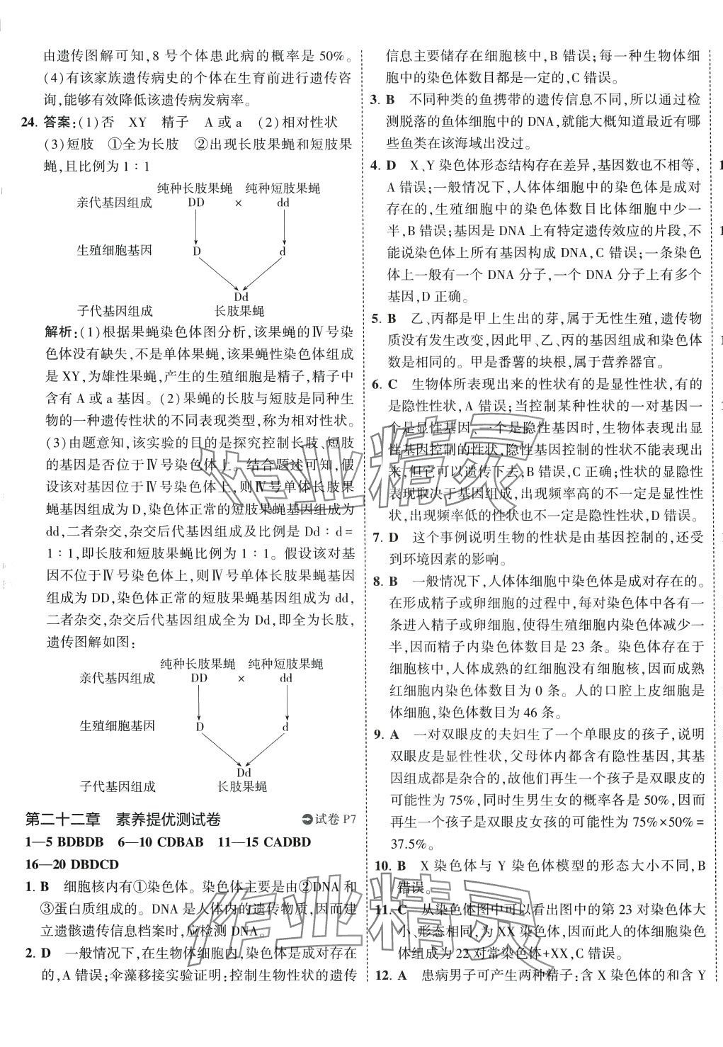 2024年5年中考3年模擬初中試卷八年級生物下冊蘇教版 第5頁