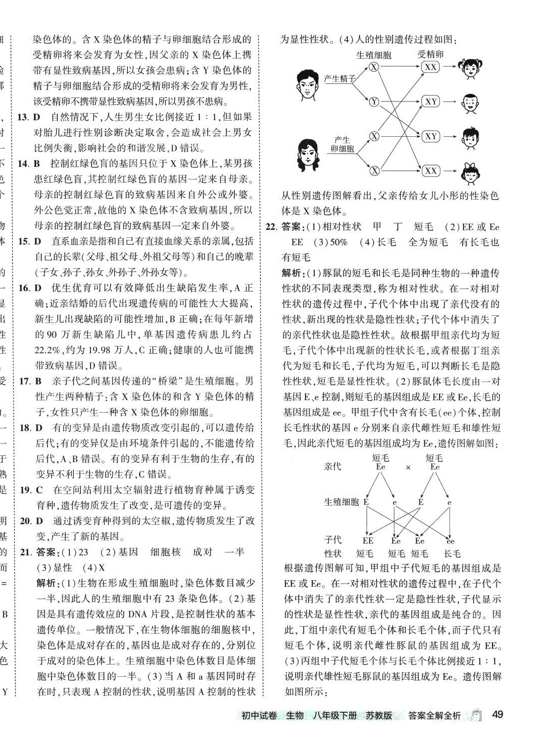 2024年5年中考3年模擬初中試卷八年級生物下冊蘇教版 第6頁