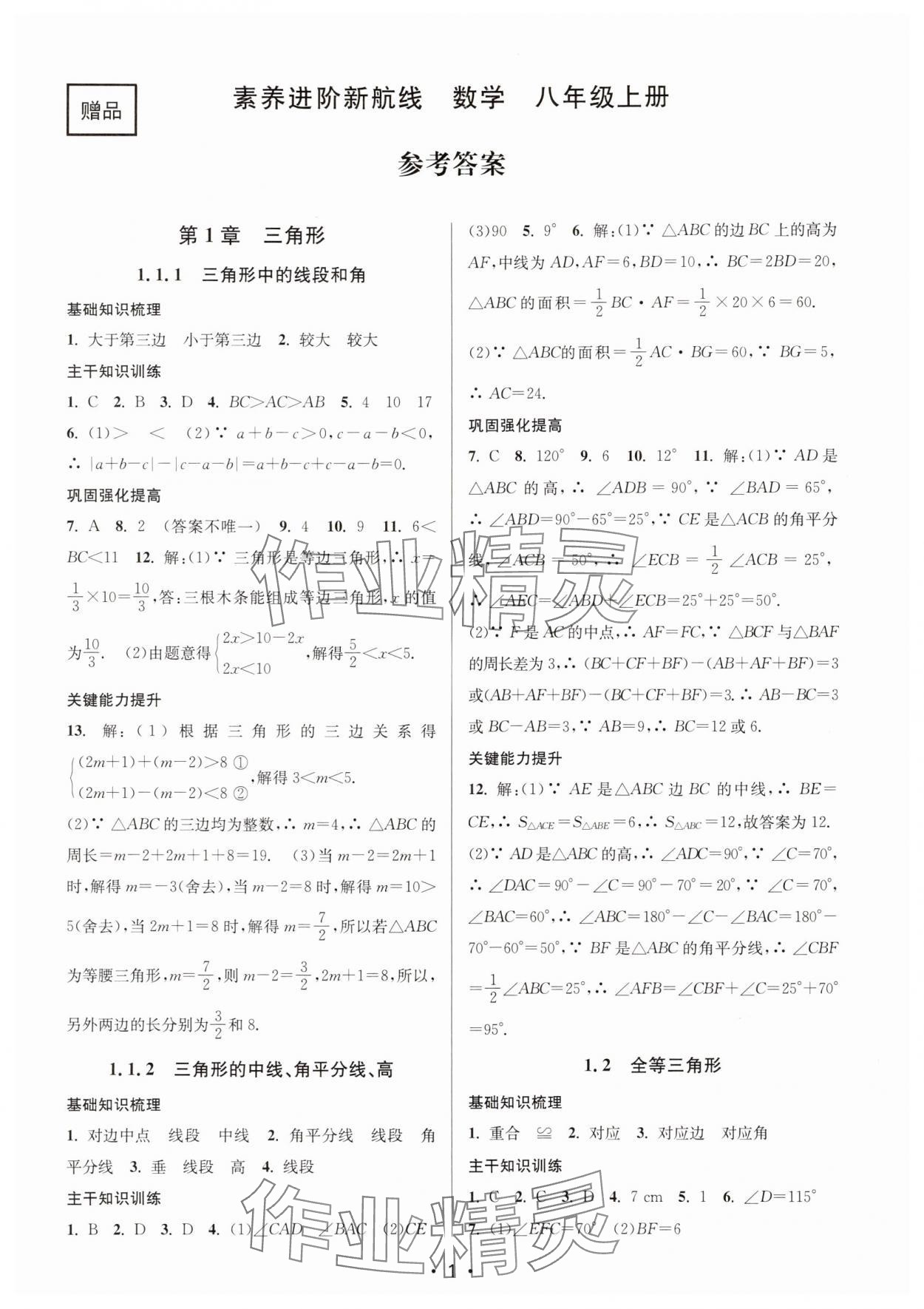 2025年素养进阶新航线八年级数学上册苏科版 第1页