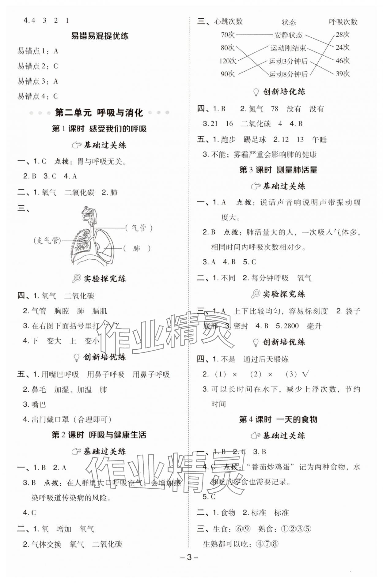 2024年綜合應用創(chuàng)新題典中點四年級科學上冊教科版 參考答案第3頁