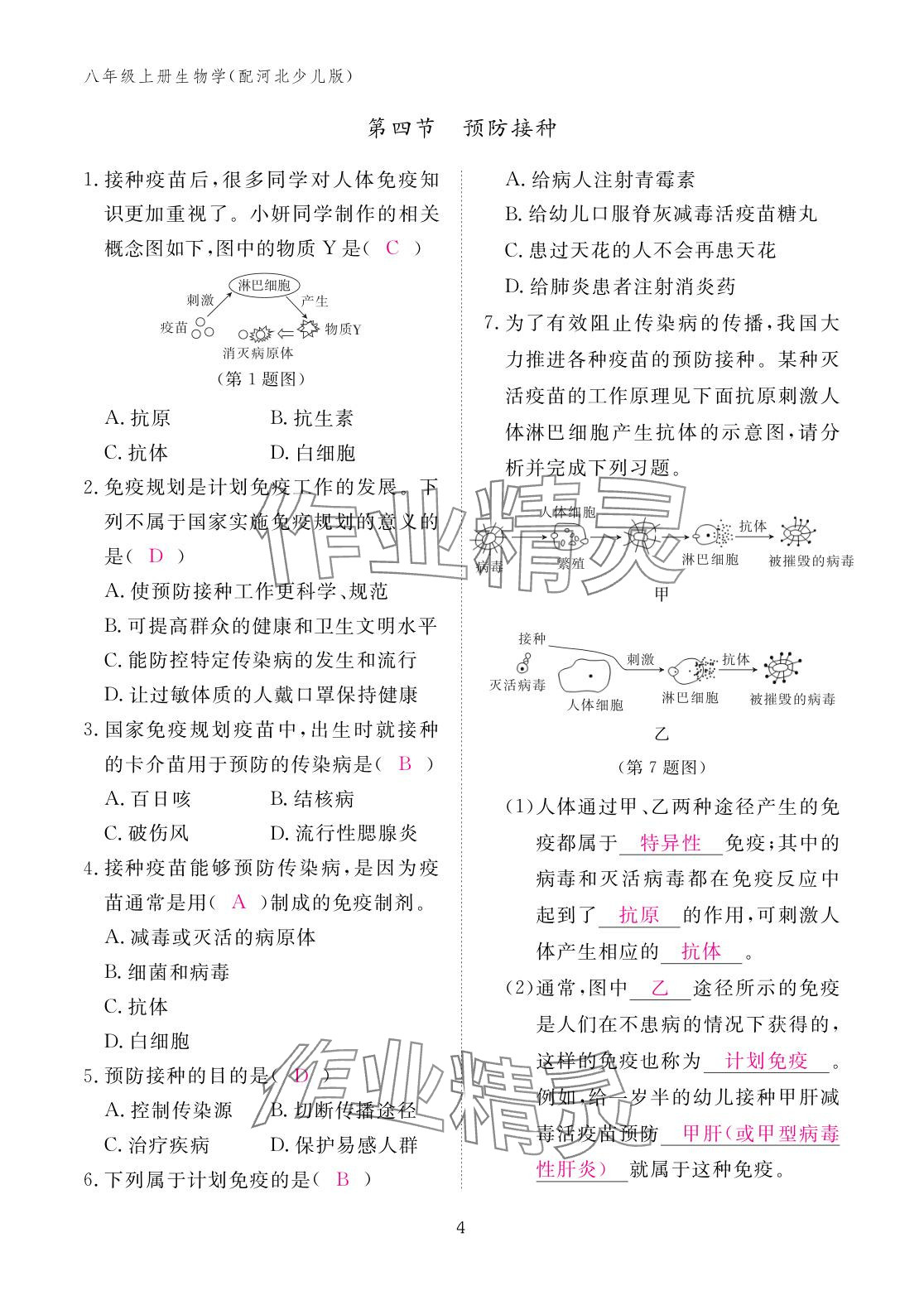 2025年作業本江西教育出版社八年級生物上冊冀少版 參考答案第4頁