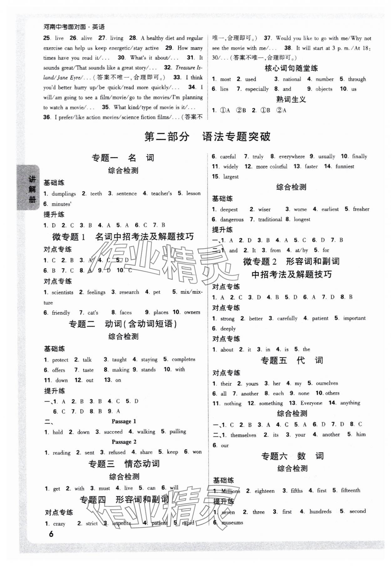 2025年中考面對(duì)面英語(yǔ)中考課標(biāo)版河南專版 第8頁(yè)