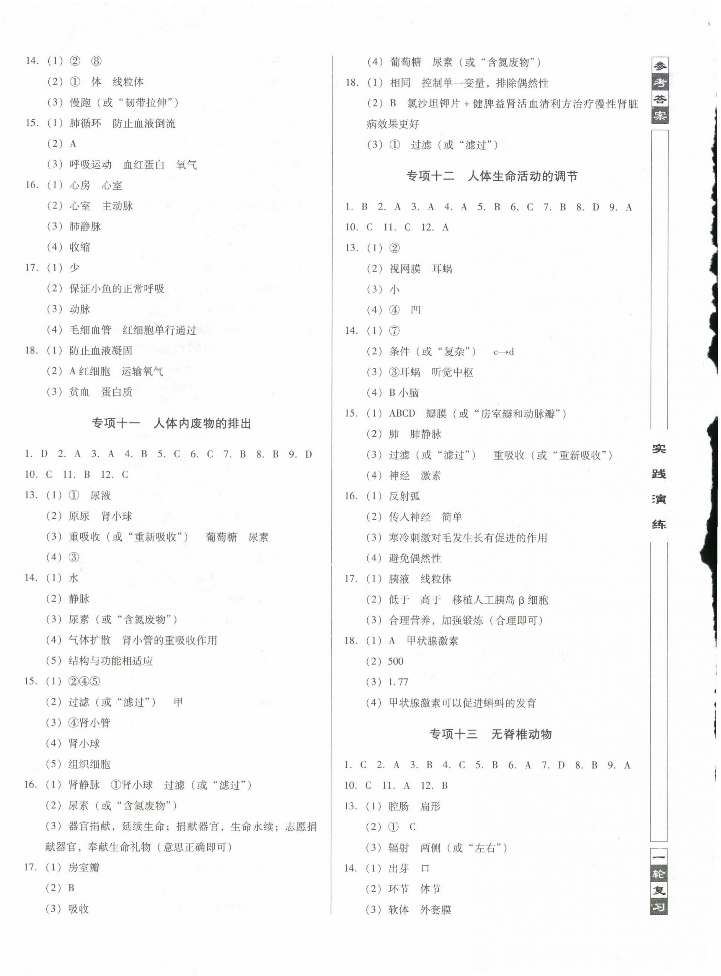 2024年中考階段總復(fù)習(xí)生物A卷 第4頁