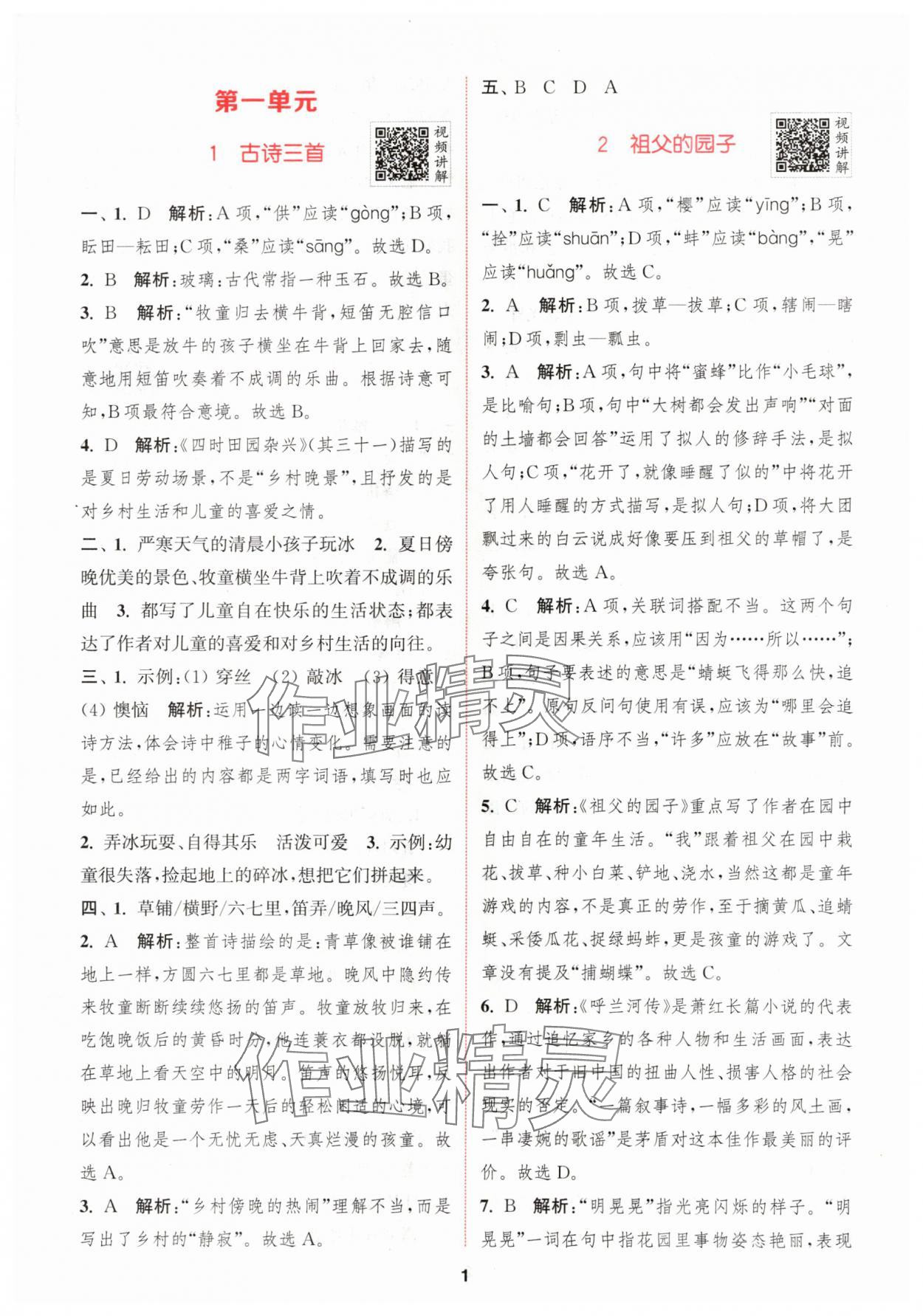 2024年拔尖特訓(xùn)五年級語文下冊人教版 參考答案第1頁