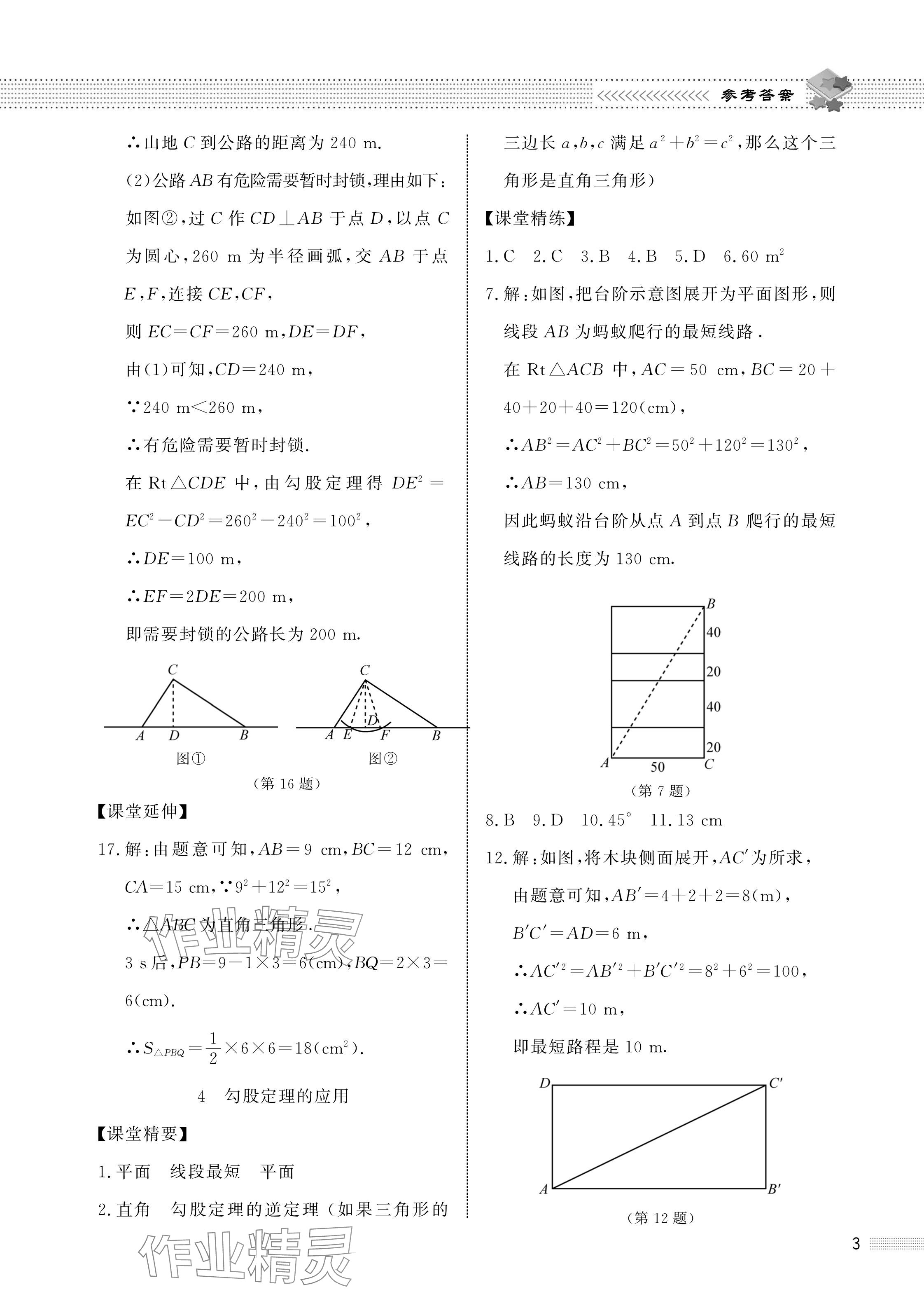 2024年配套综合练习甘肃八年级数学上册北师大版 参考答案第3页