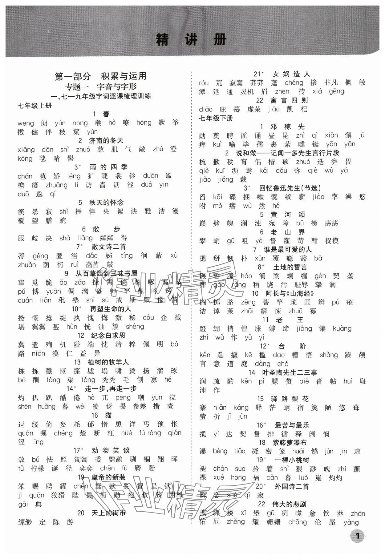 2024年中考大數(shù)據(jù)語文中考河北專版 參考答案第1頁