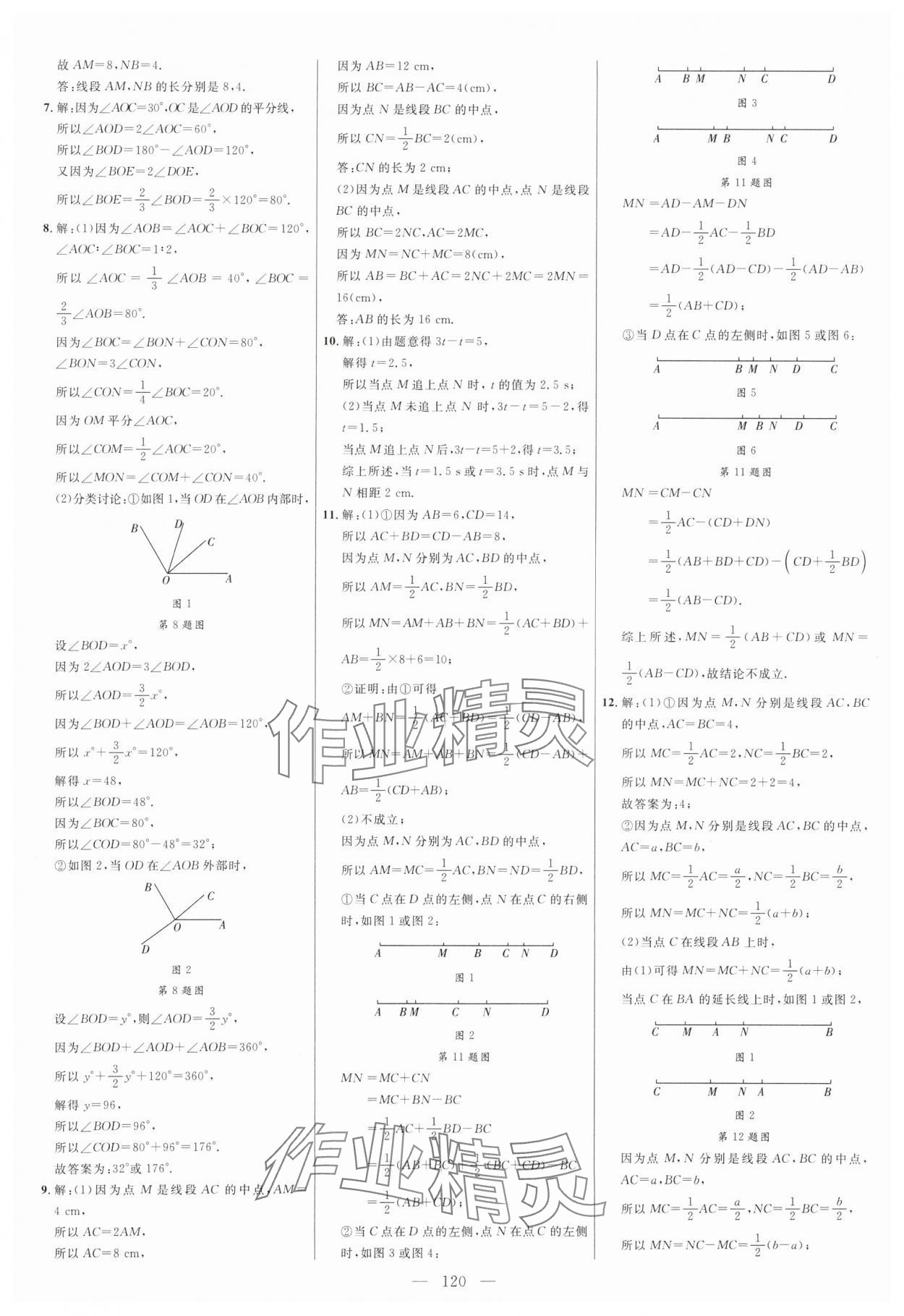 2024年细解巧练六年级数学下册鲁教版五四制 参考答案第4页