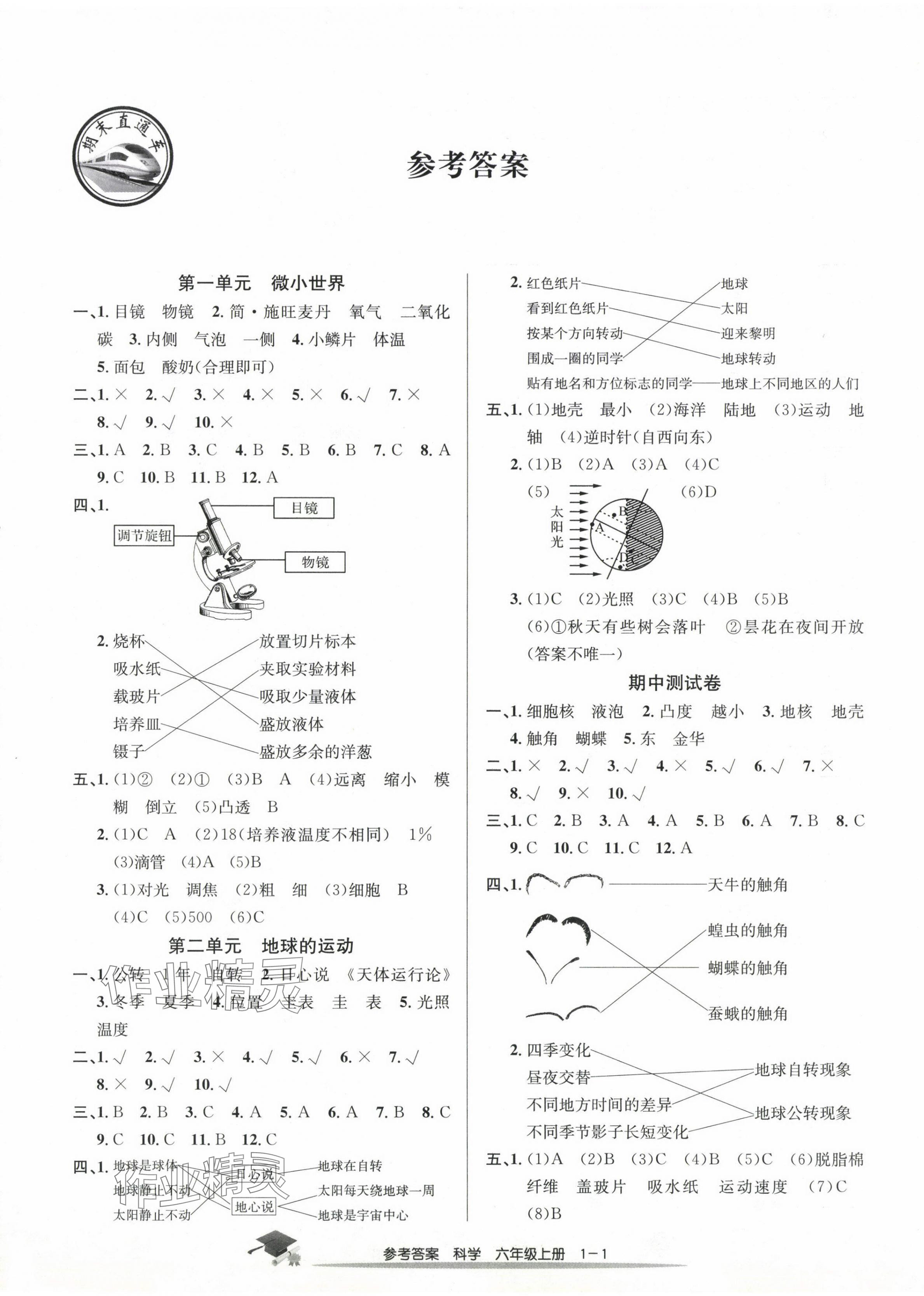 2023年期末直通车六年级科学上册教科版 第1页