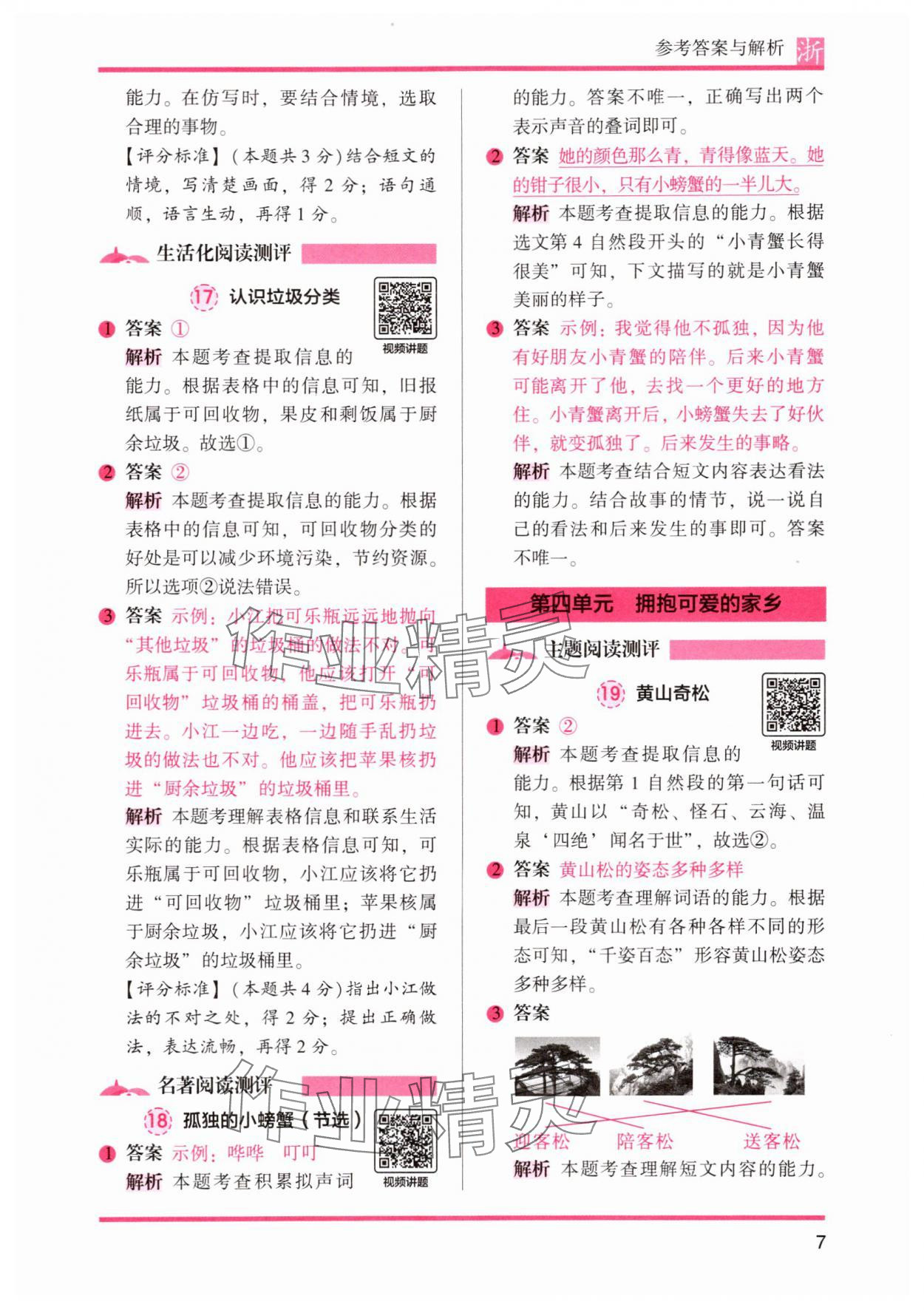 2025年木頭馬閱讀力測評二年級語文A版浙江專版 第7頁