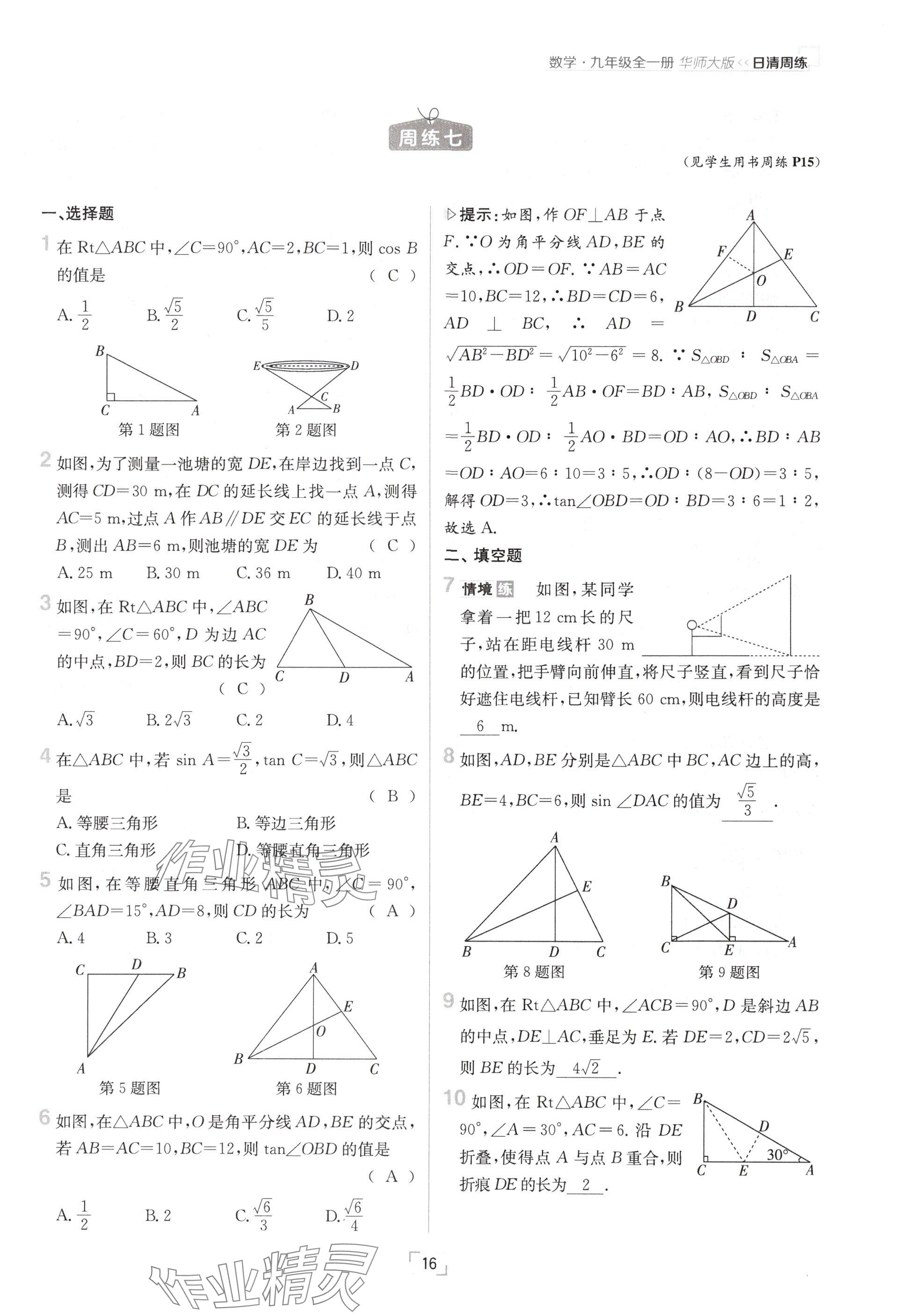 2024年日清周練九年級數(shù)學(xué)全一冊華師大版 參考答案第32頁