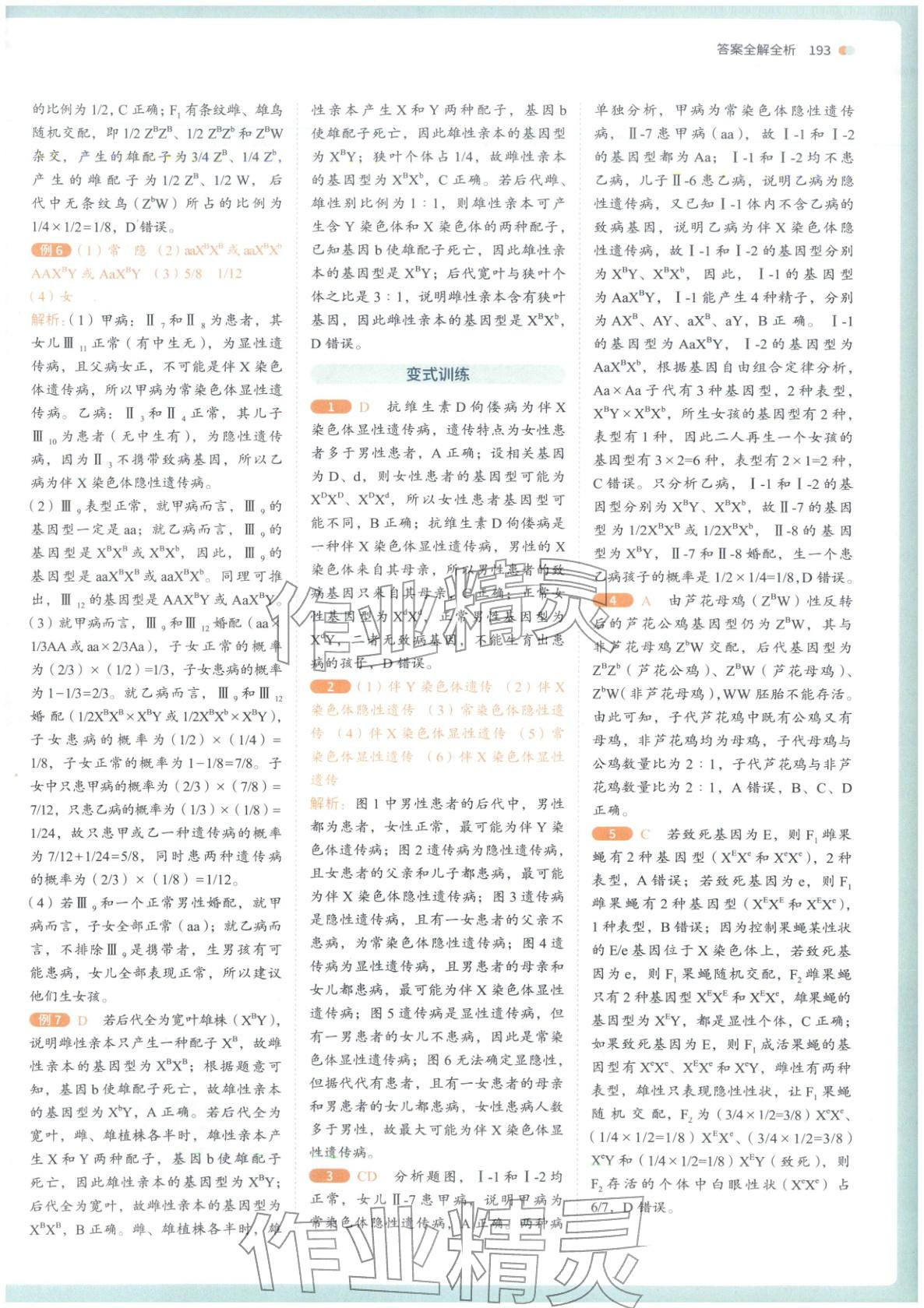 2026年从教材到考试高中生物必修第二册人教版&nbsp;第10页