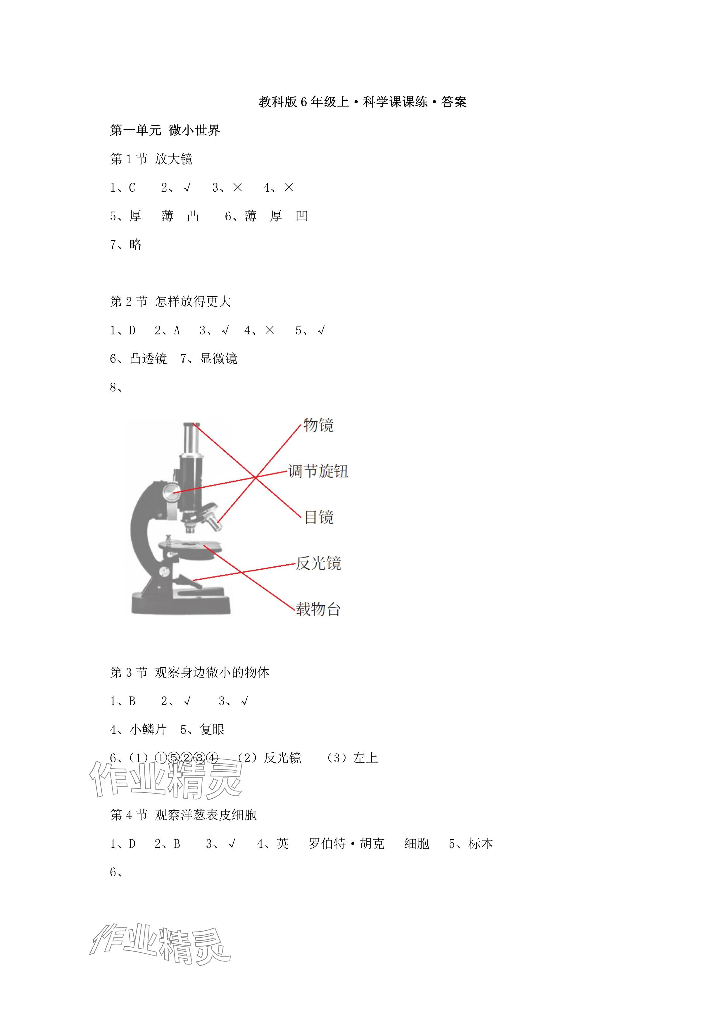 2024年科學(xué)課課練六年級(jí)上冊(cè)教科版 參考答案第1頁